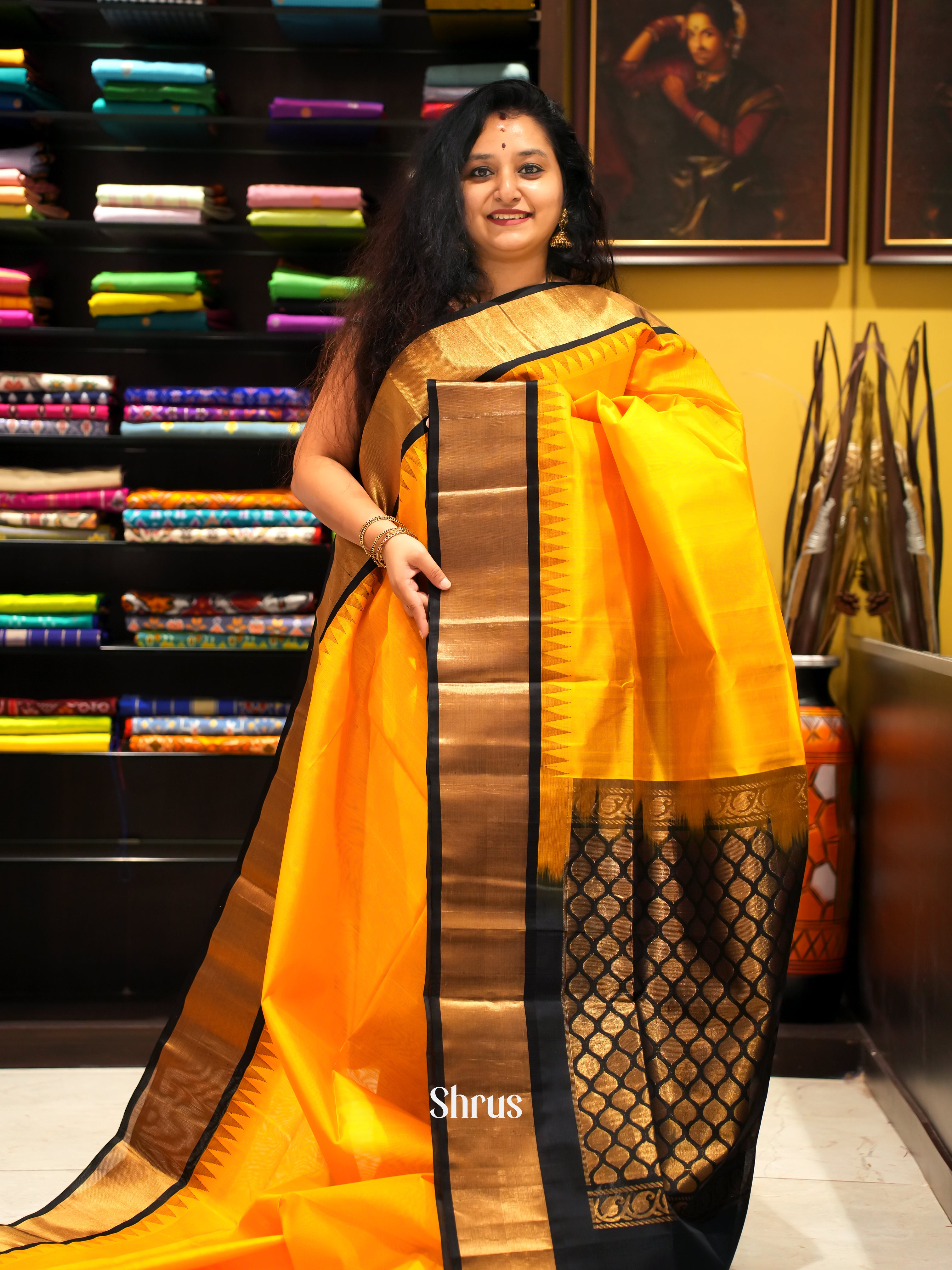 CFS28083 - Silk Cotton Saree - Shop on ShrusEternity.com
