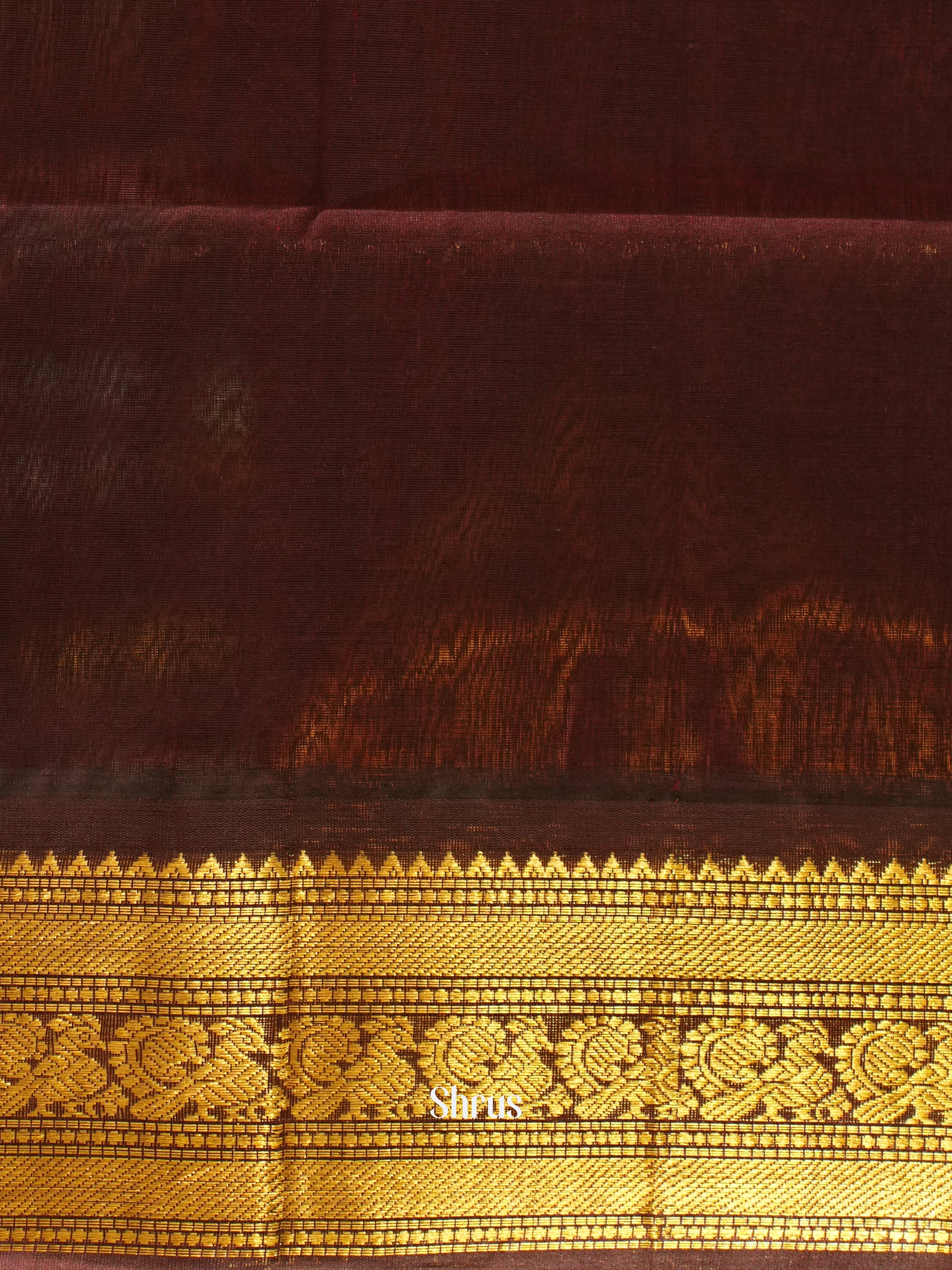 Cream & Brown - Silk Cotton Saree - Shop on ShrusEternity.com