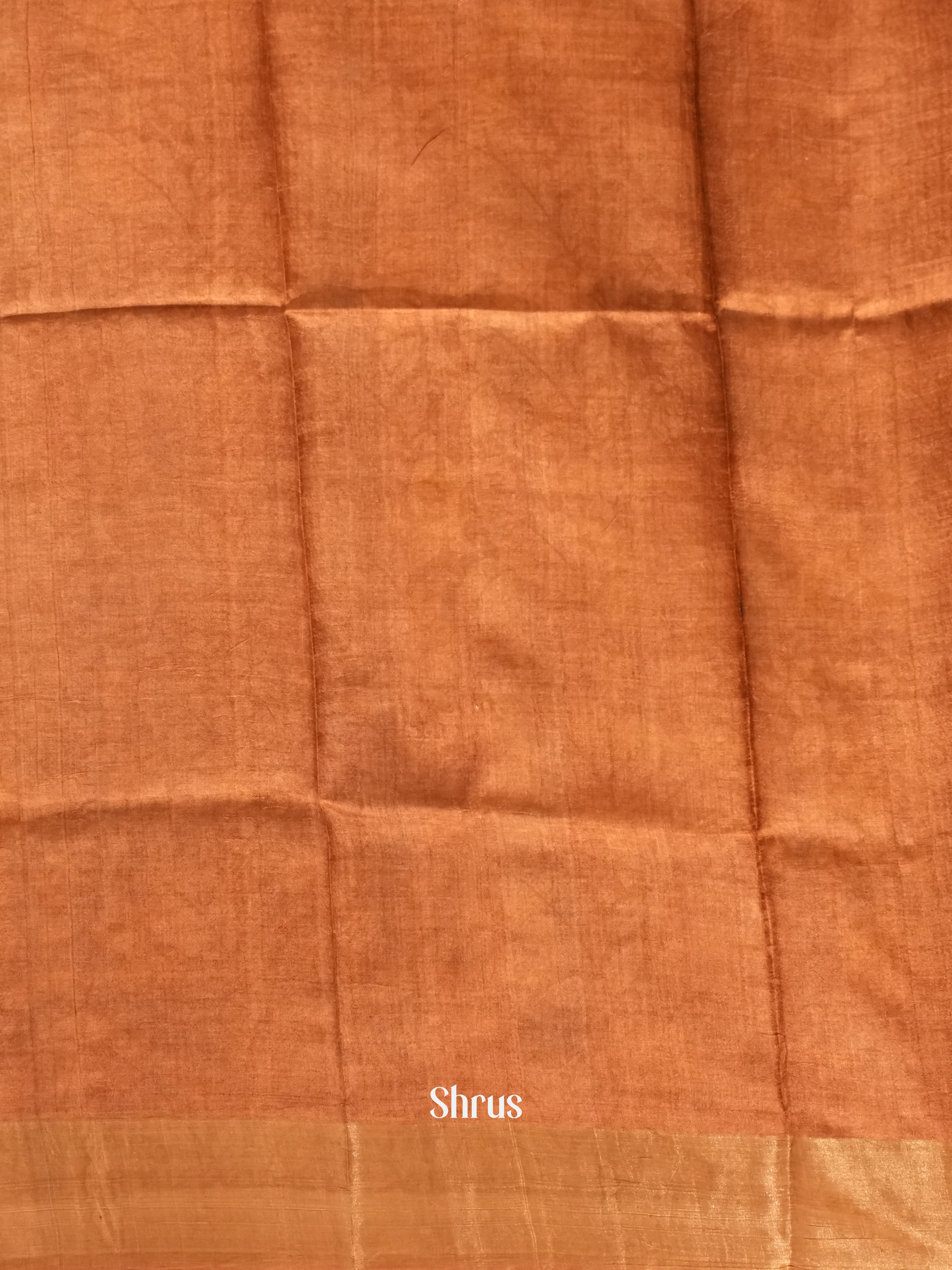 Green & Brown - Tussar Saree - Shop on ShrusEternity.com