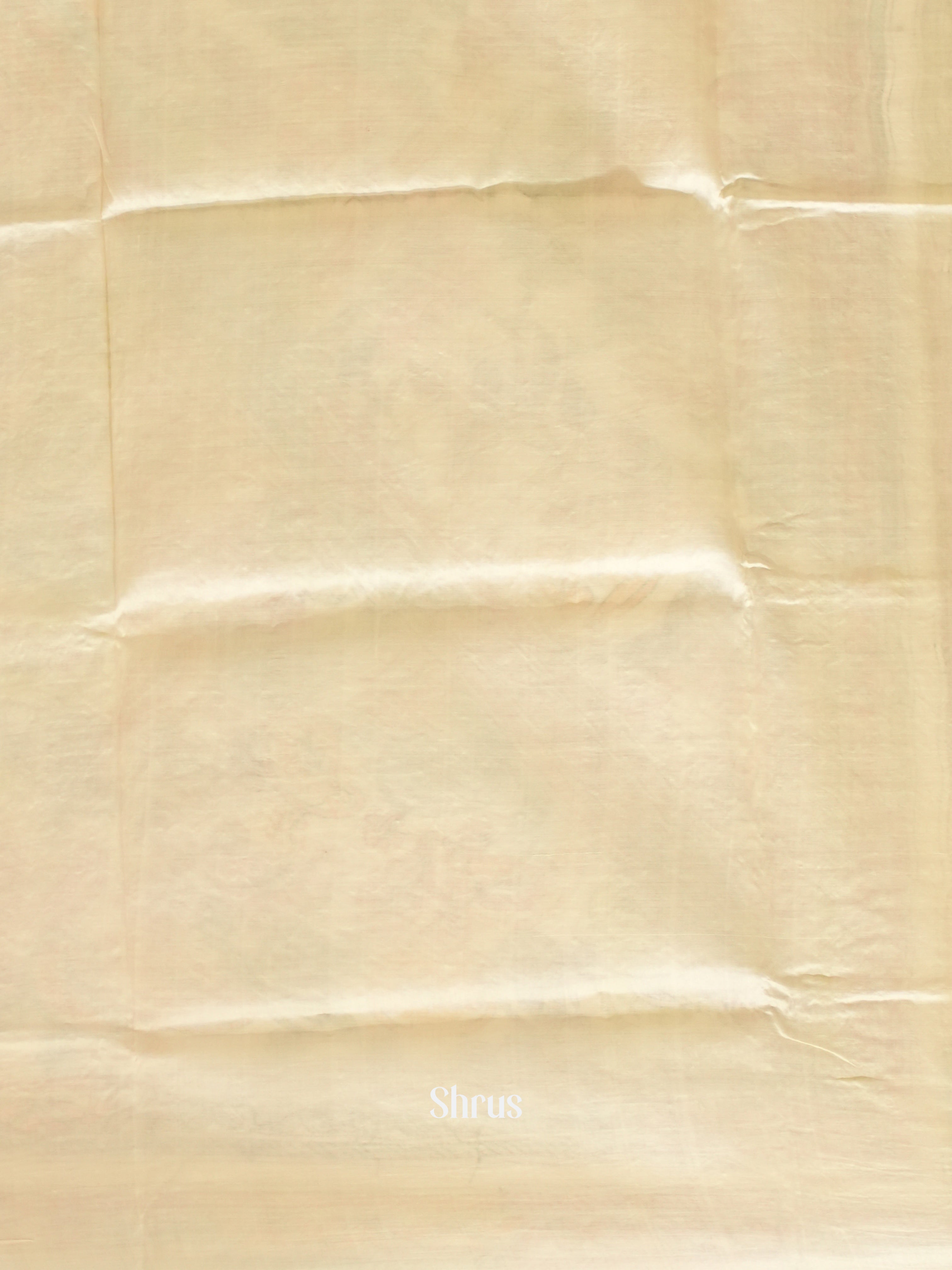 Cream (Single Tone)- Tussar Saree with Kantha Stitch - Shop on ShrusEternity.com