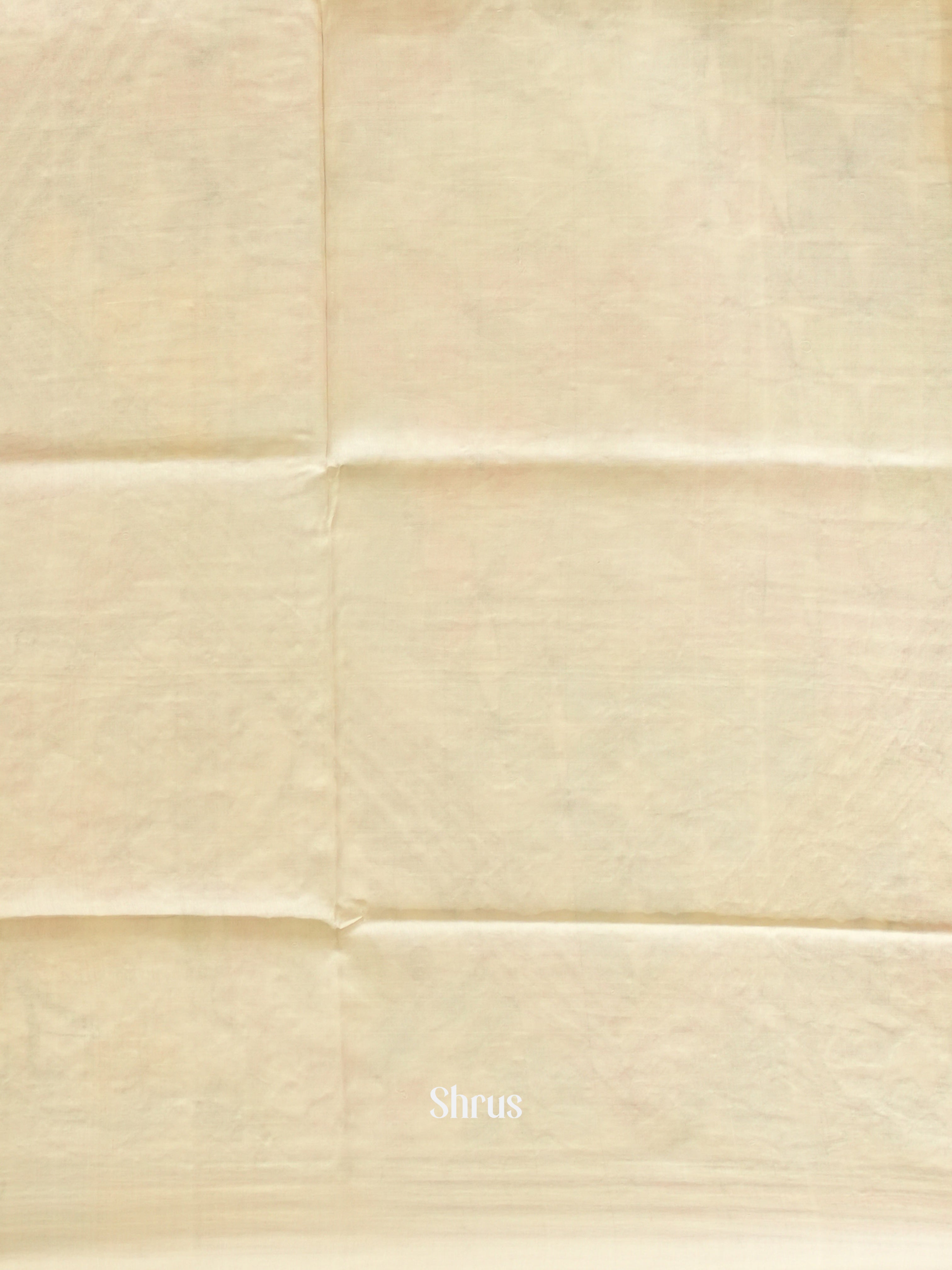 Cream(Single Tone) - Tussar Saree with Kantha Stitch - Shop on ShrusEternity.com