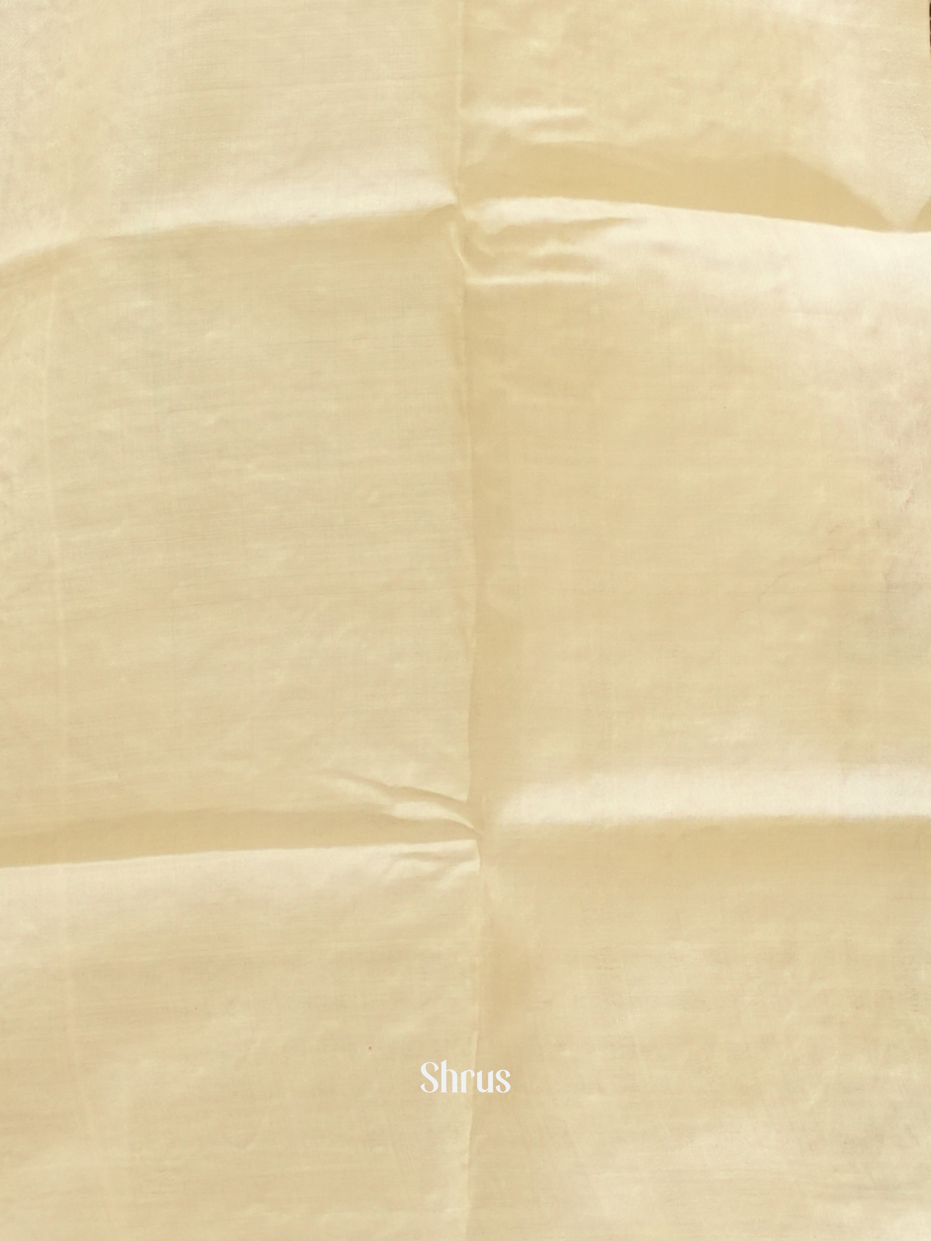 Cream(Single Tone) - Tussar Saree with Kantha Stitch - Shop on ShrusEternity.com