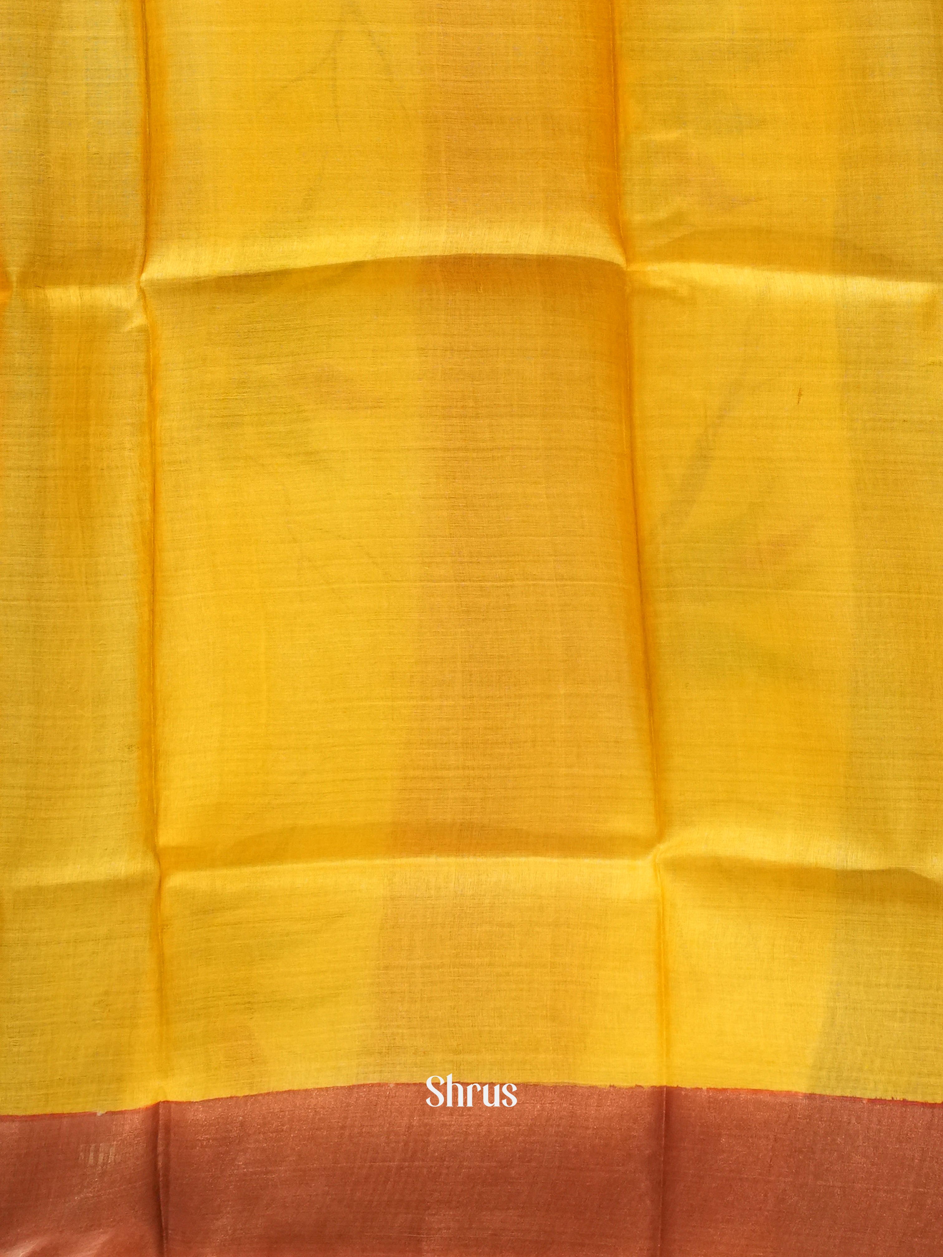 Ice Green & Yellow - Tussar Saree - Shop on ShrusEternity.com