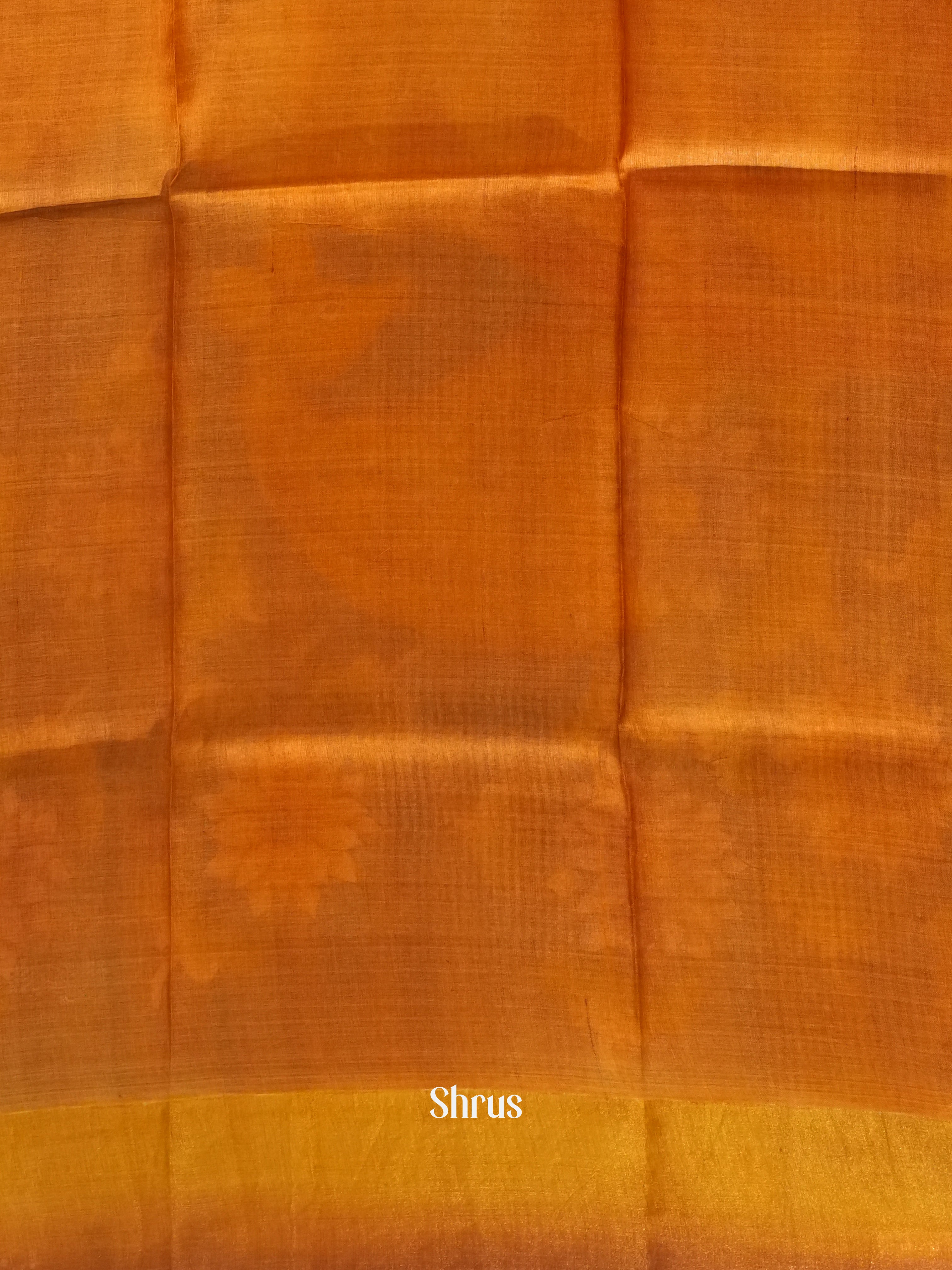 Blue & Orange - Tussar Saree - Shop on ShrusEternity.com