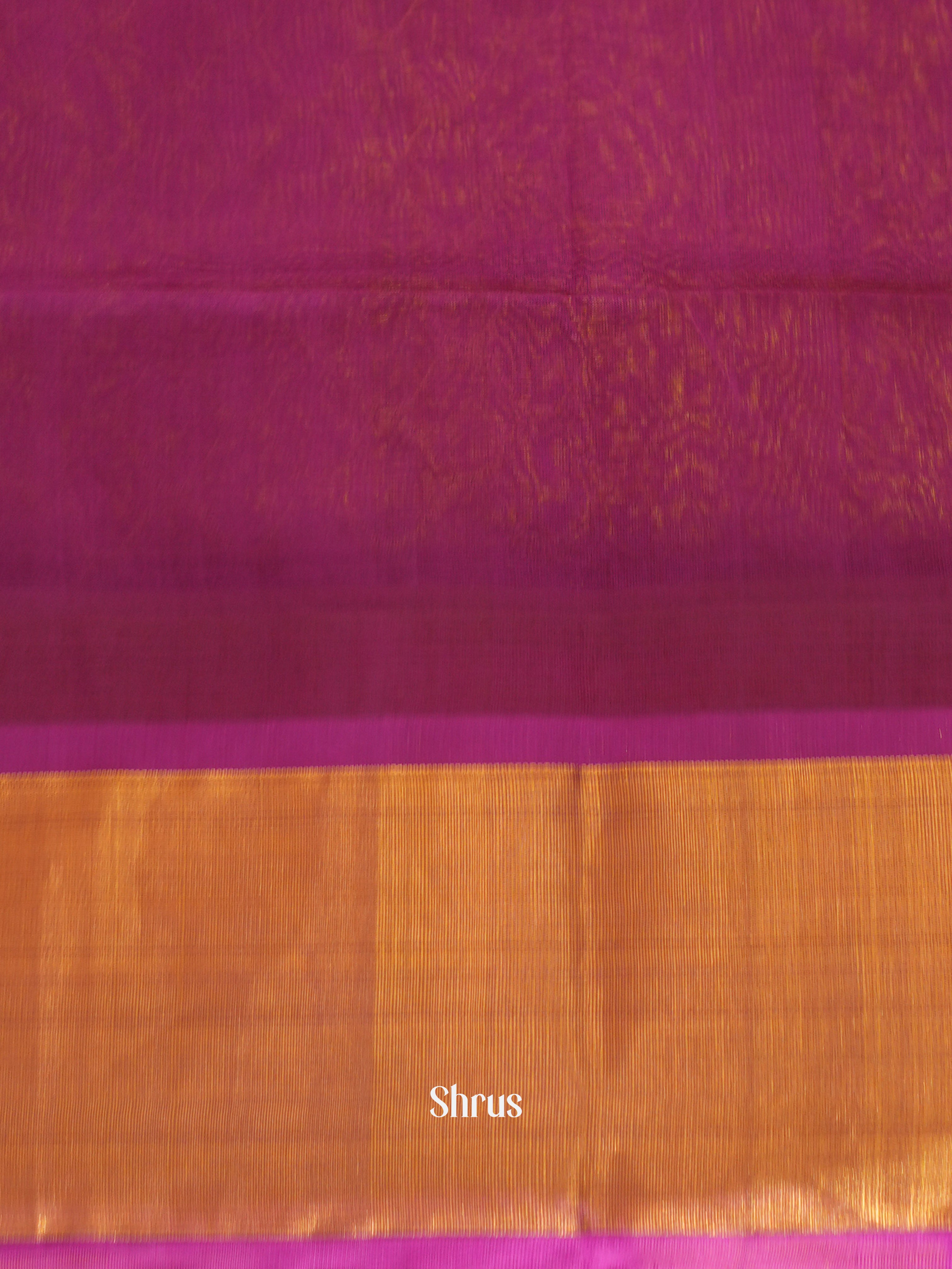 CGS10080 - Silk Cotton Saree - Shop on ShrusEternity.com