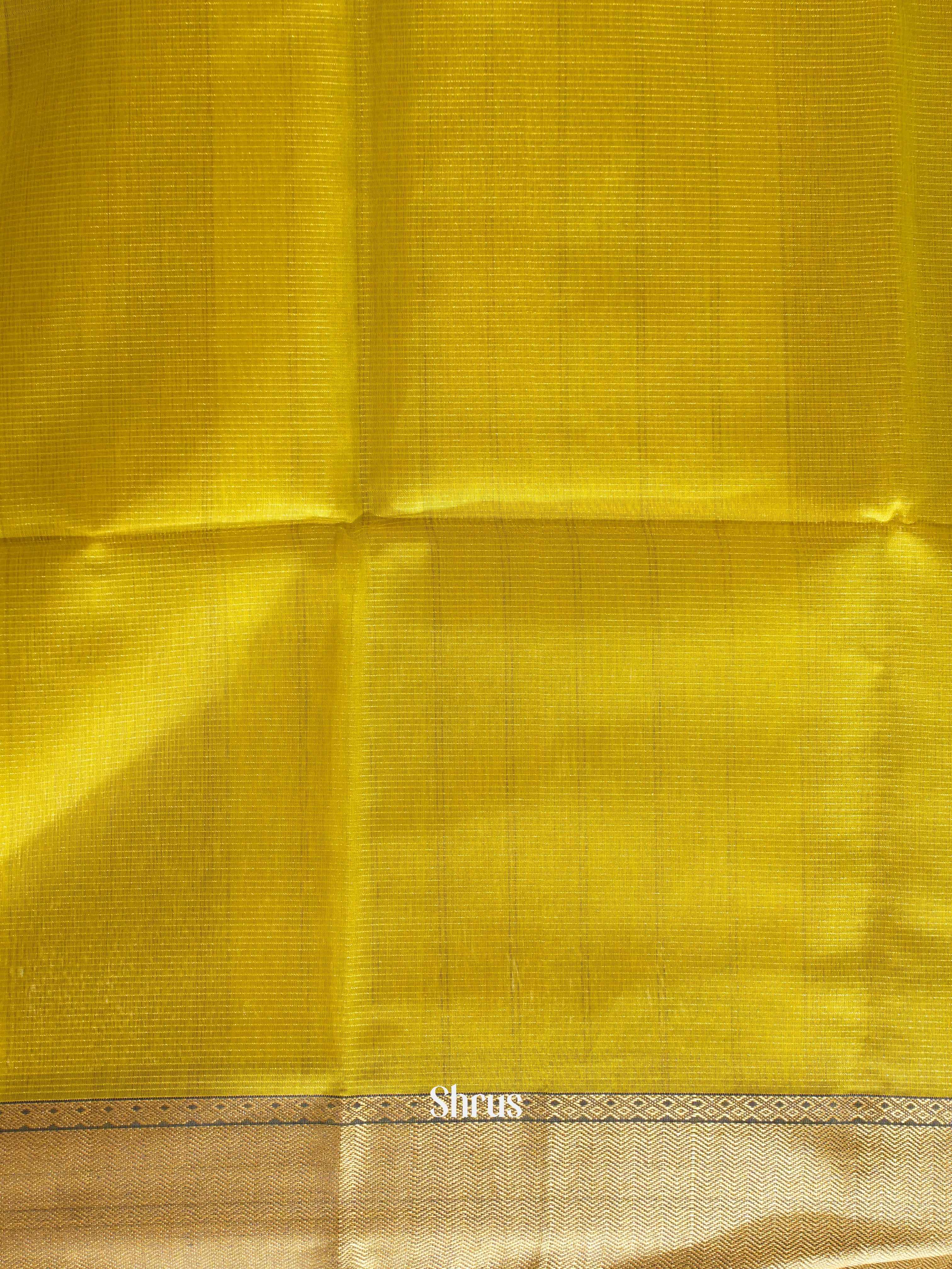 Mustardy Green(Single Tone) - Maheshwari silkcotton Saree - Shop on ShrusEternity.com