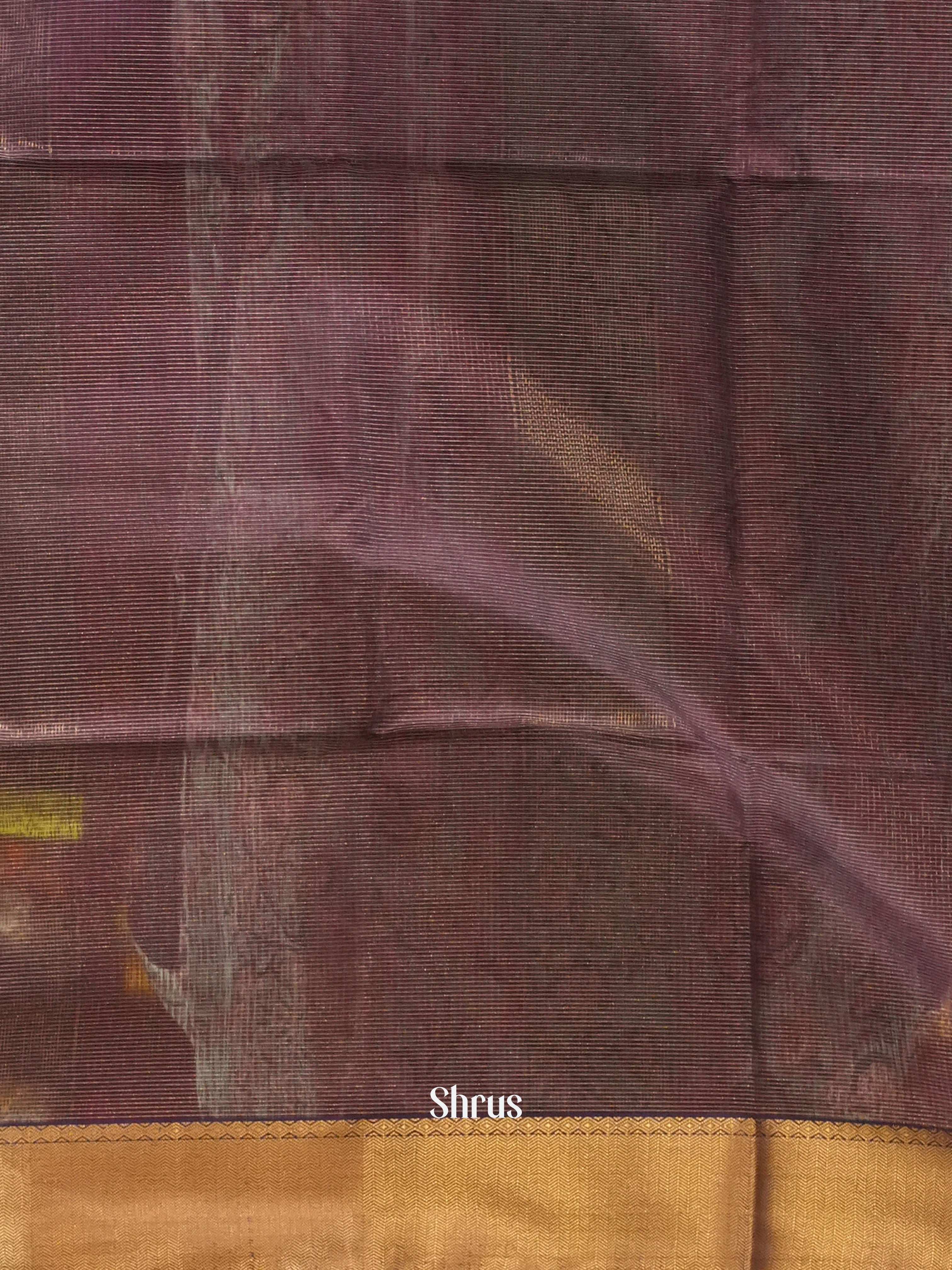 CGS15049-Maheshwari silkcotton - Shop on ShrusEternity.com