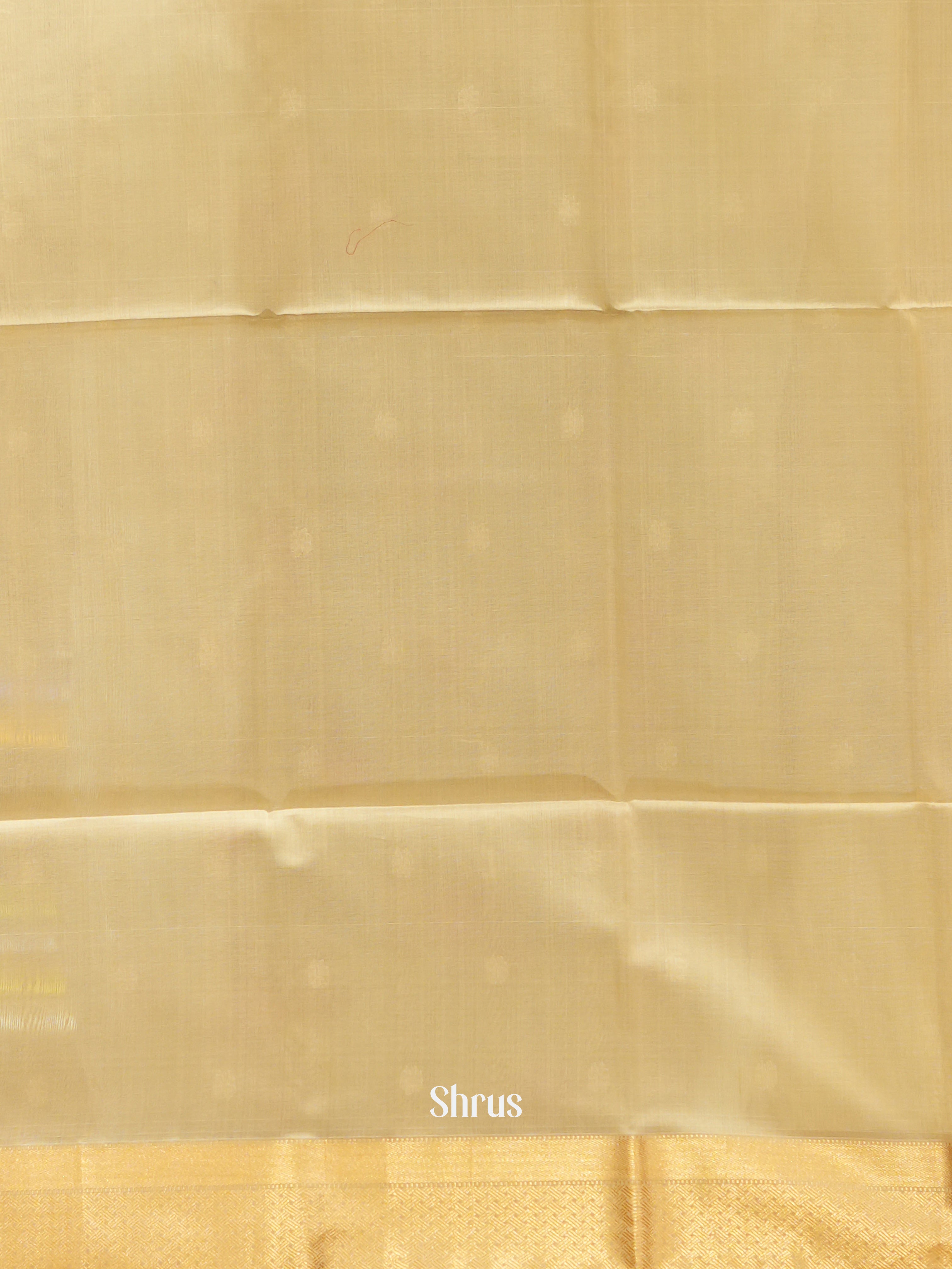 Cream & Beige - Maheshwari silkcotton Saree - Shop on ShrusEternity.com