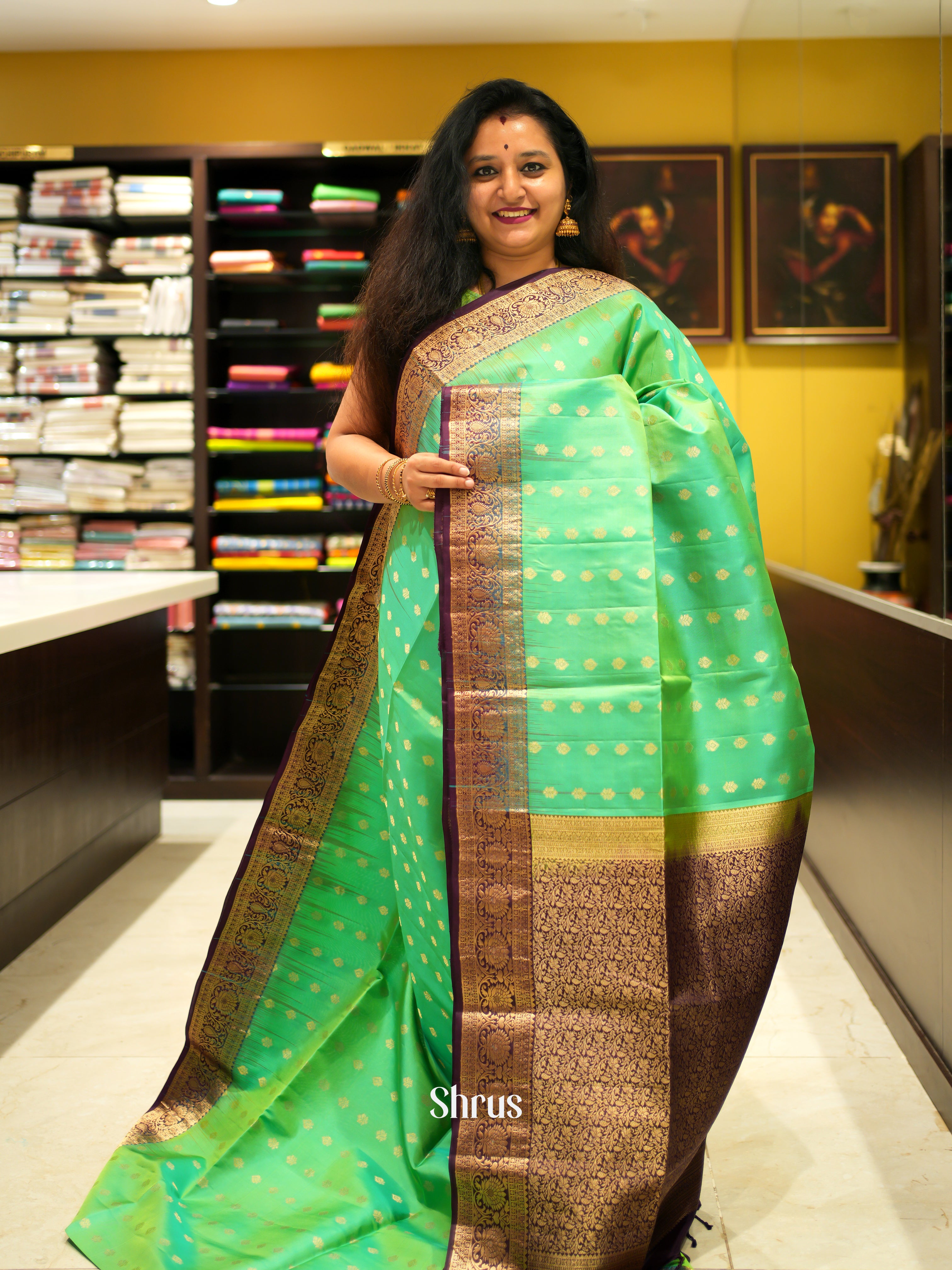 Pista Green & Brown - Soft Silk Saree - Shop on ShrusEternity.com