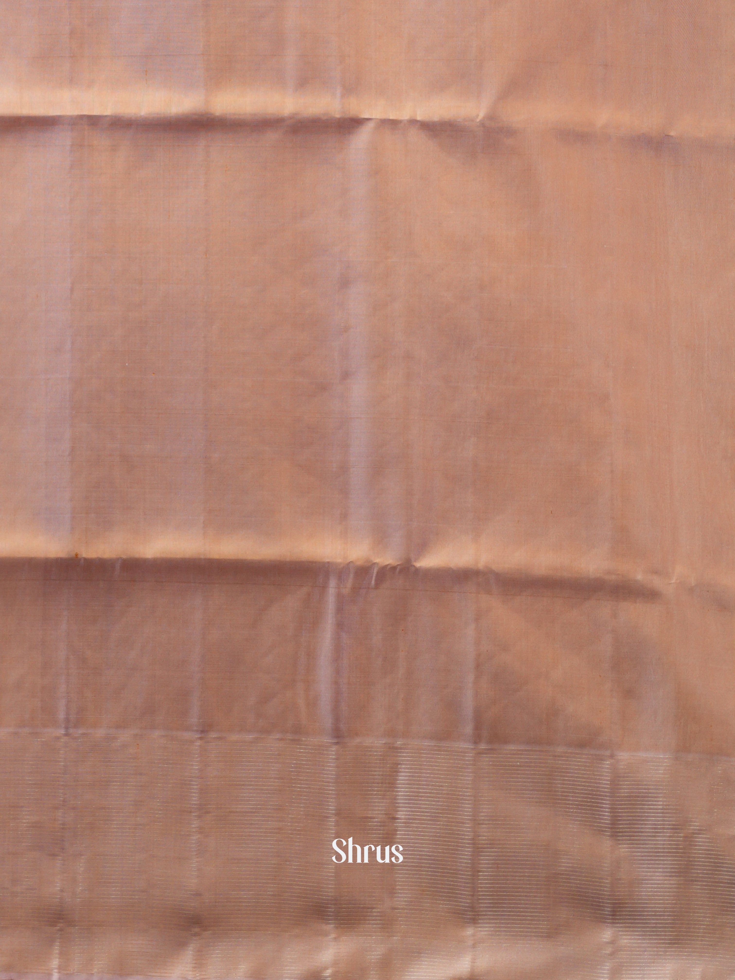 Cream & Dusty Brown - Soft Silk Saree - Shop on ShrusEternity.com