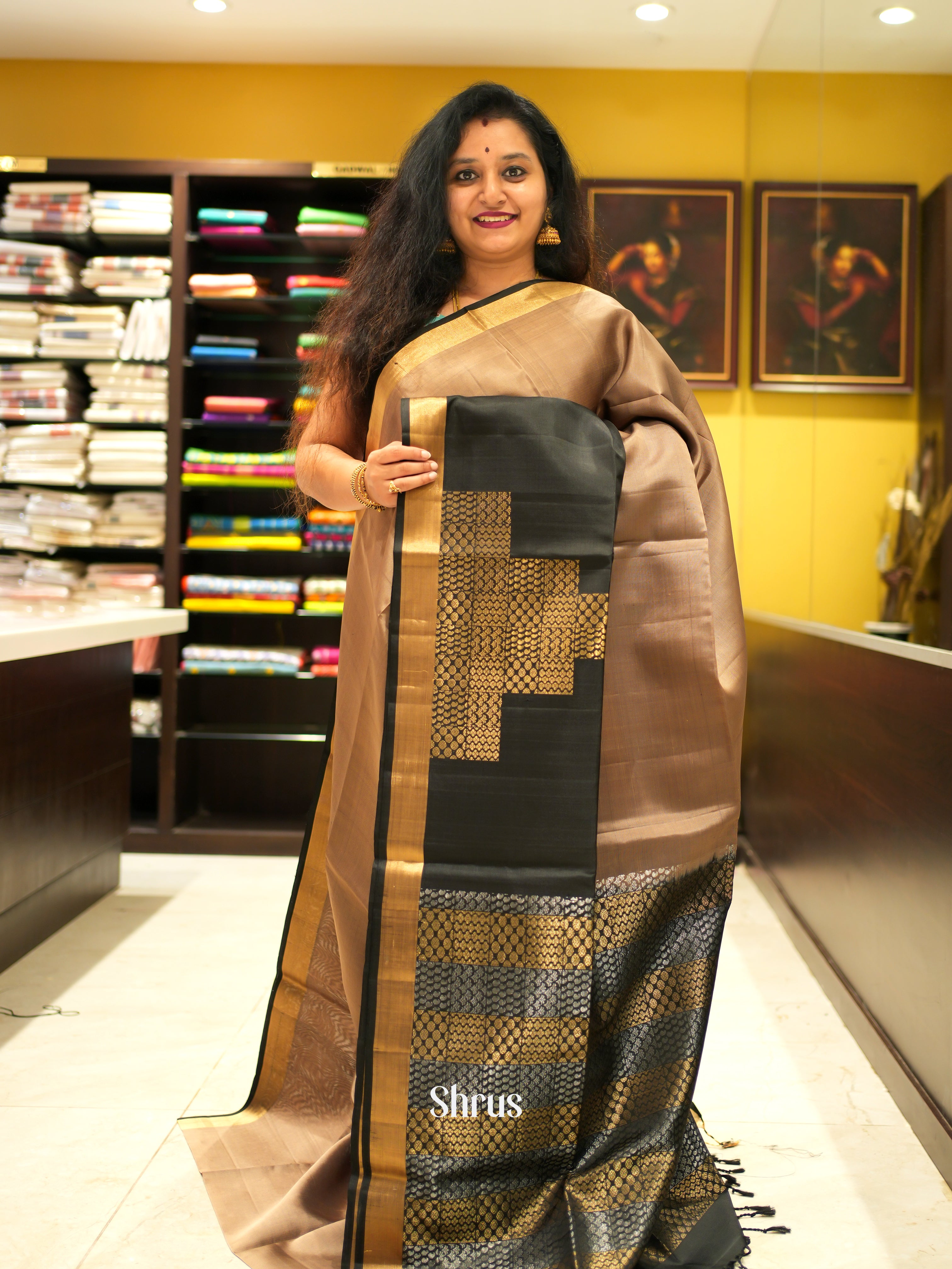 Dusty Brown & Black - Soft Silk Saree - Shop on ShrusEternity.com