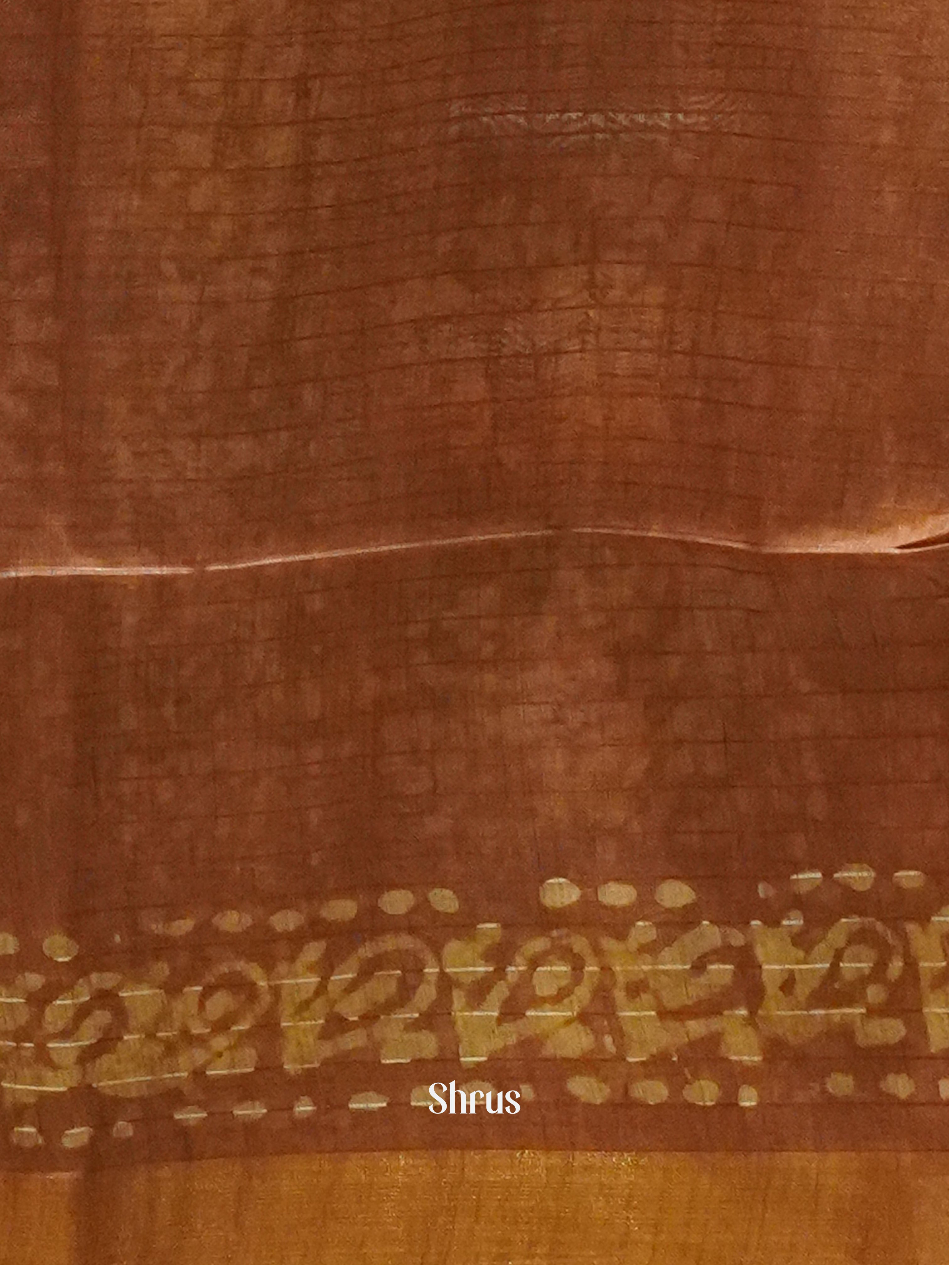 Coffee Brown & Brown - Bhatik Saree - Shop on ShrusEternity.com