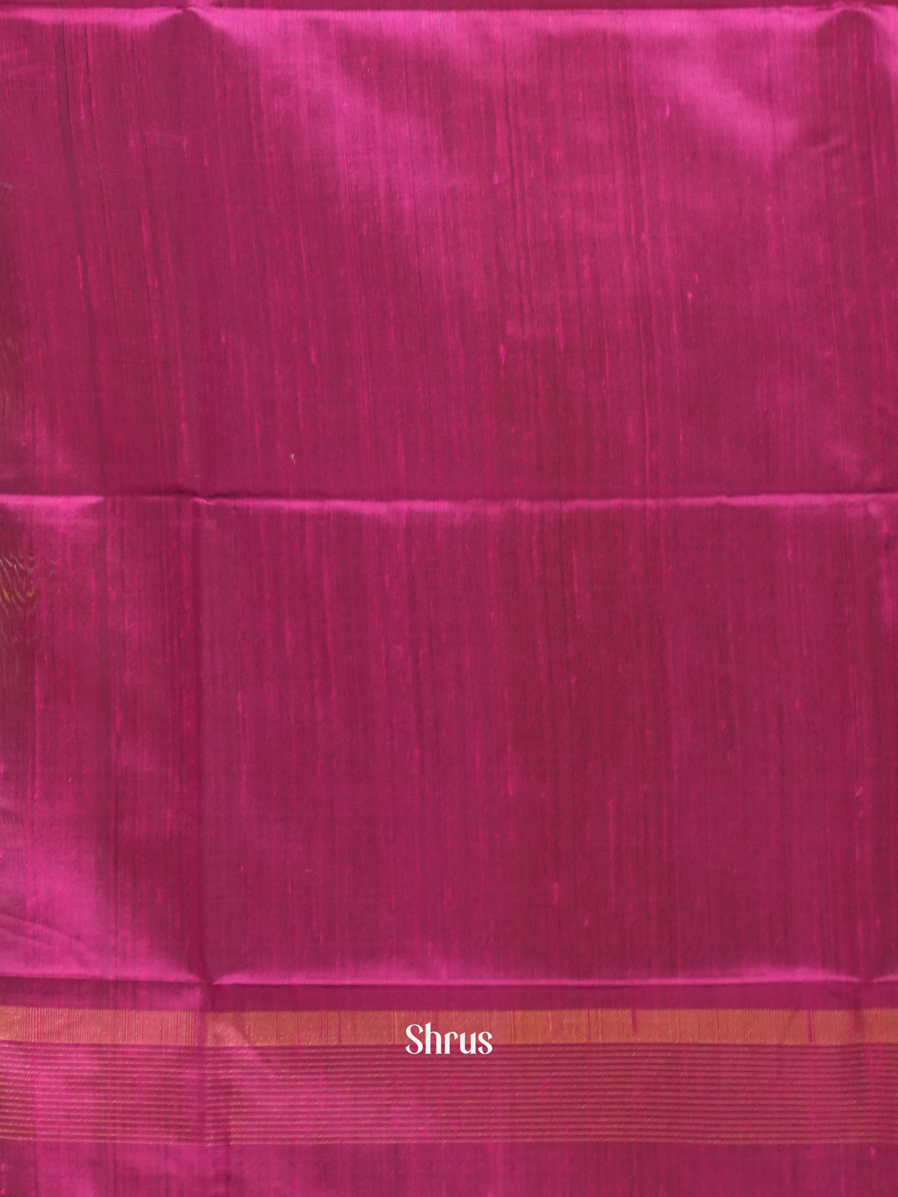 CGS27127 - Raw silk saree - Shop on ShrusEternity.com