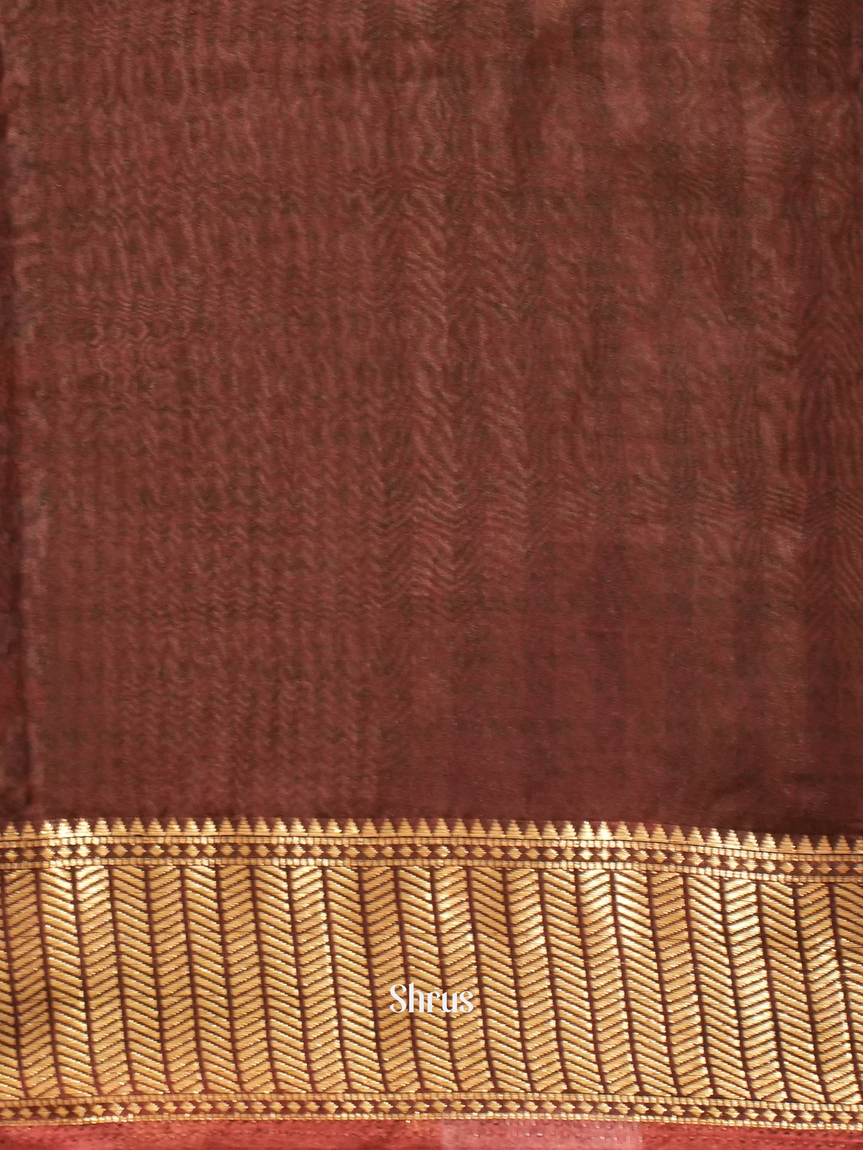 Brown - Art Modal Saree - Shop on ShrusEternity.com