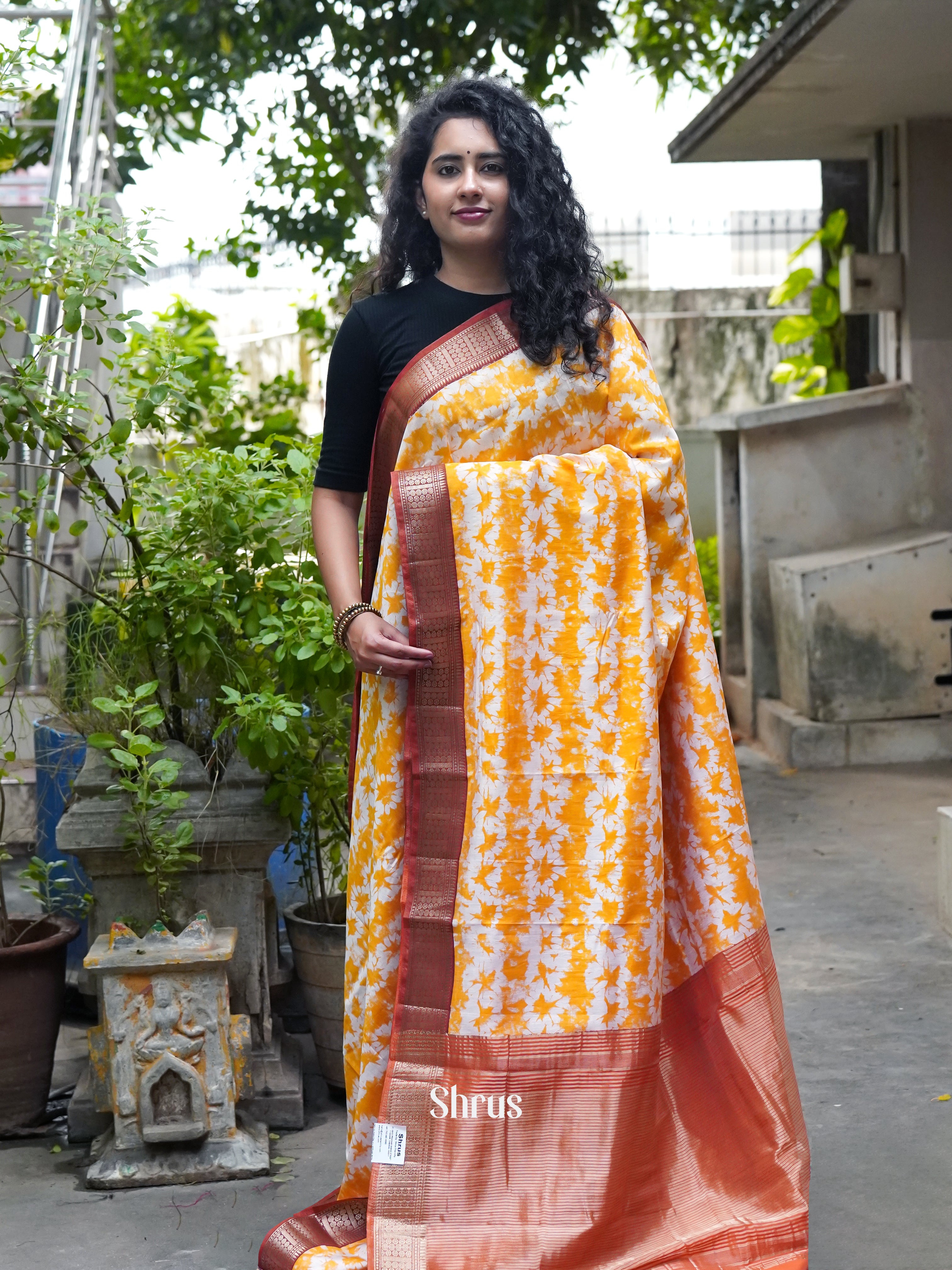 CGS30395 - Art Modal Saree - Shop on ShrusEternity.com