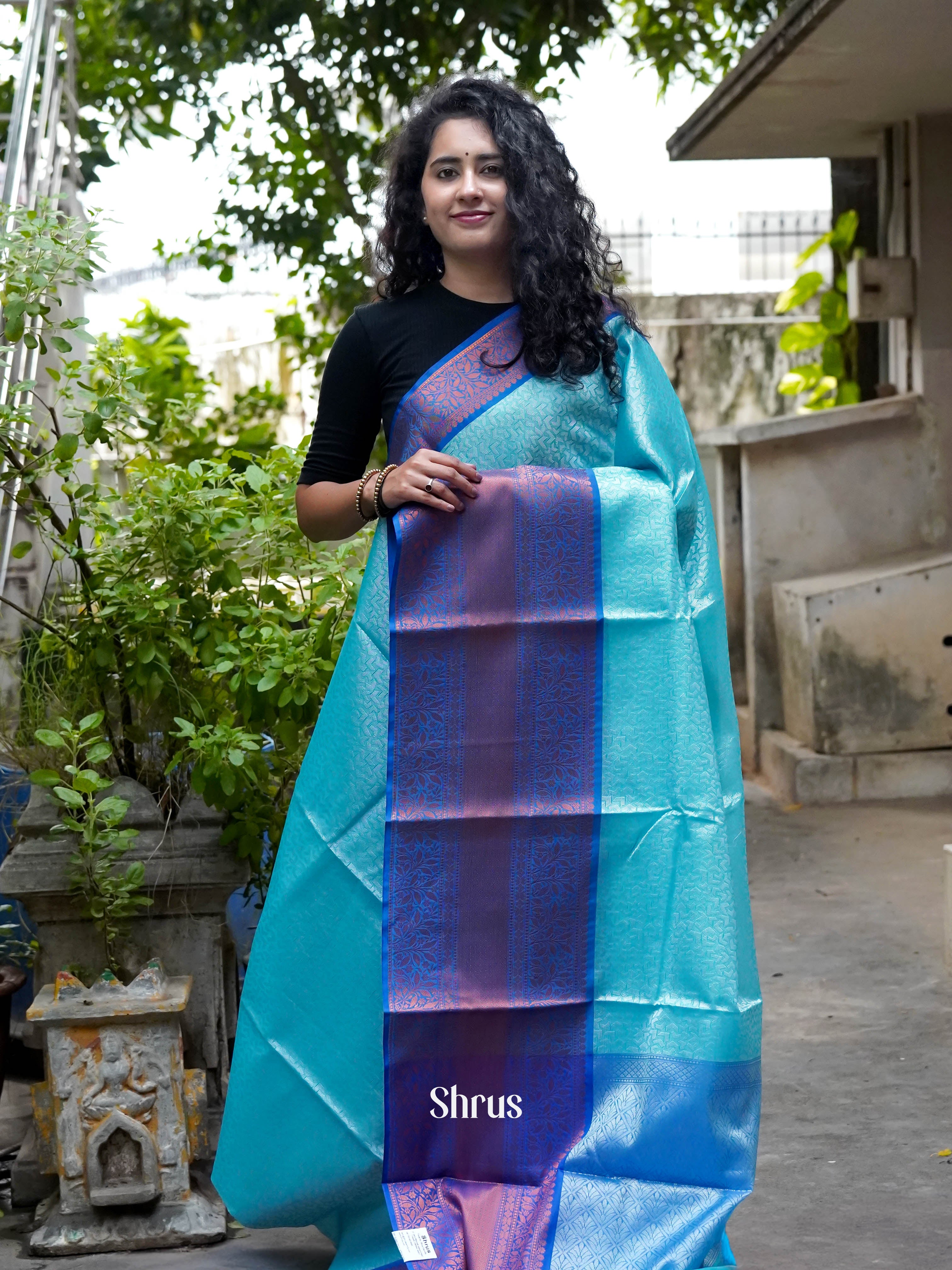 Sky Blue & Blue - Tanchoi Saree - Shop on ShrusEternity.com