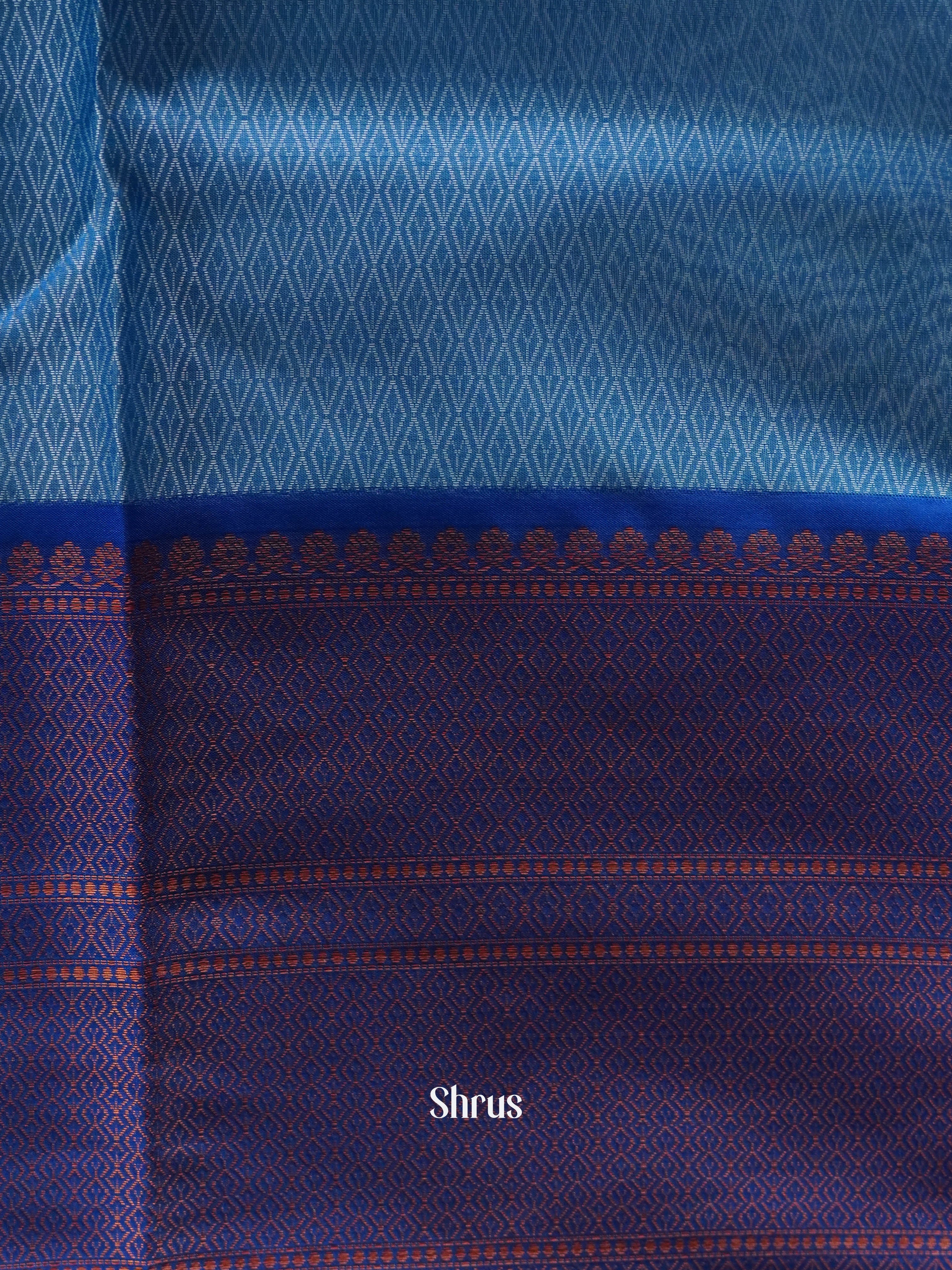Sky Blue & Blue - Tanchoi Saree - Shop on ShrusEternity.com
