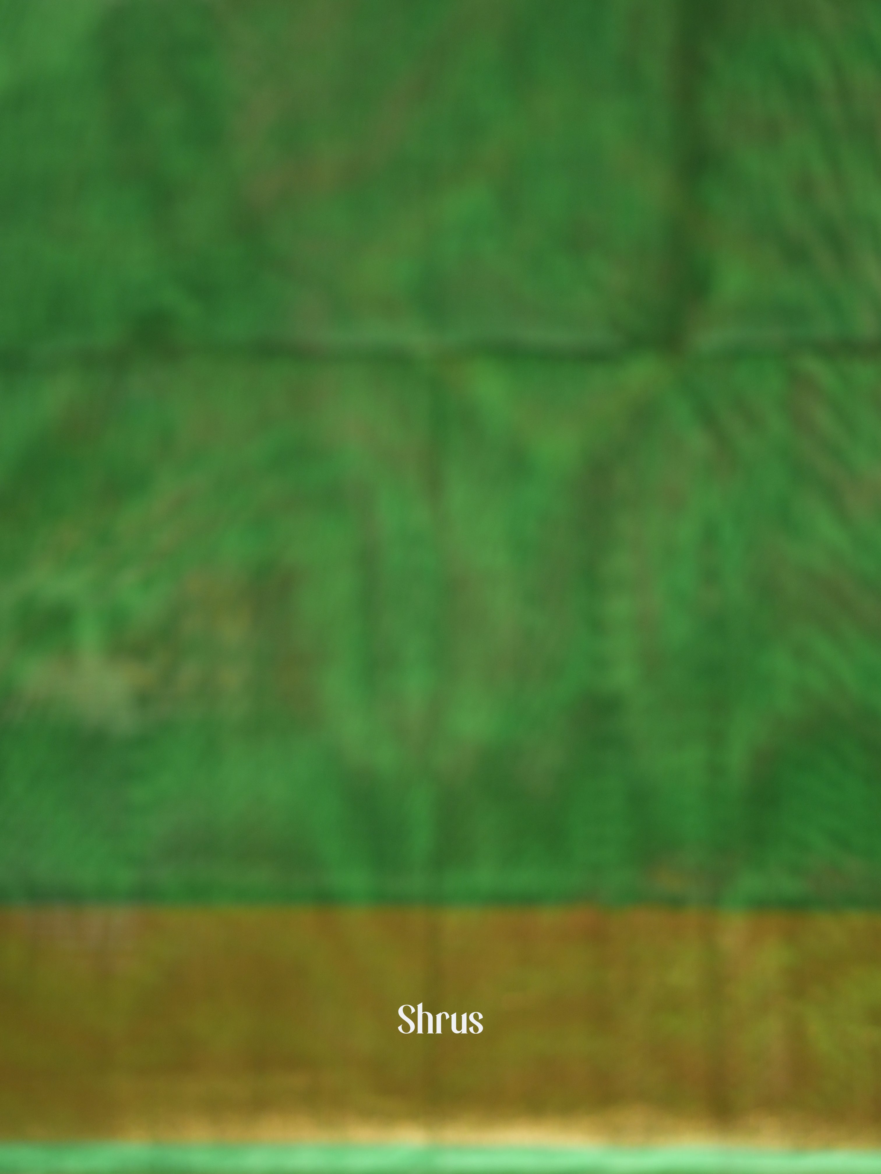 Light Yellow & Green - Pochampally sico saree - Shop on ShrusEternity.com