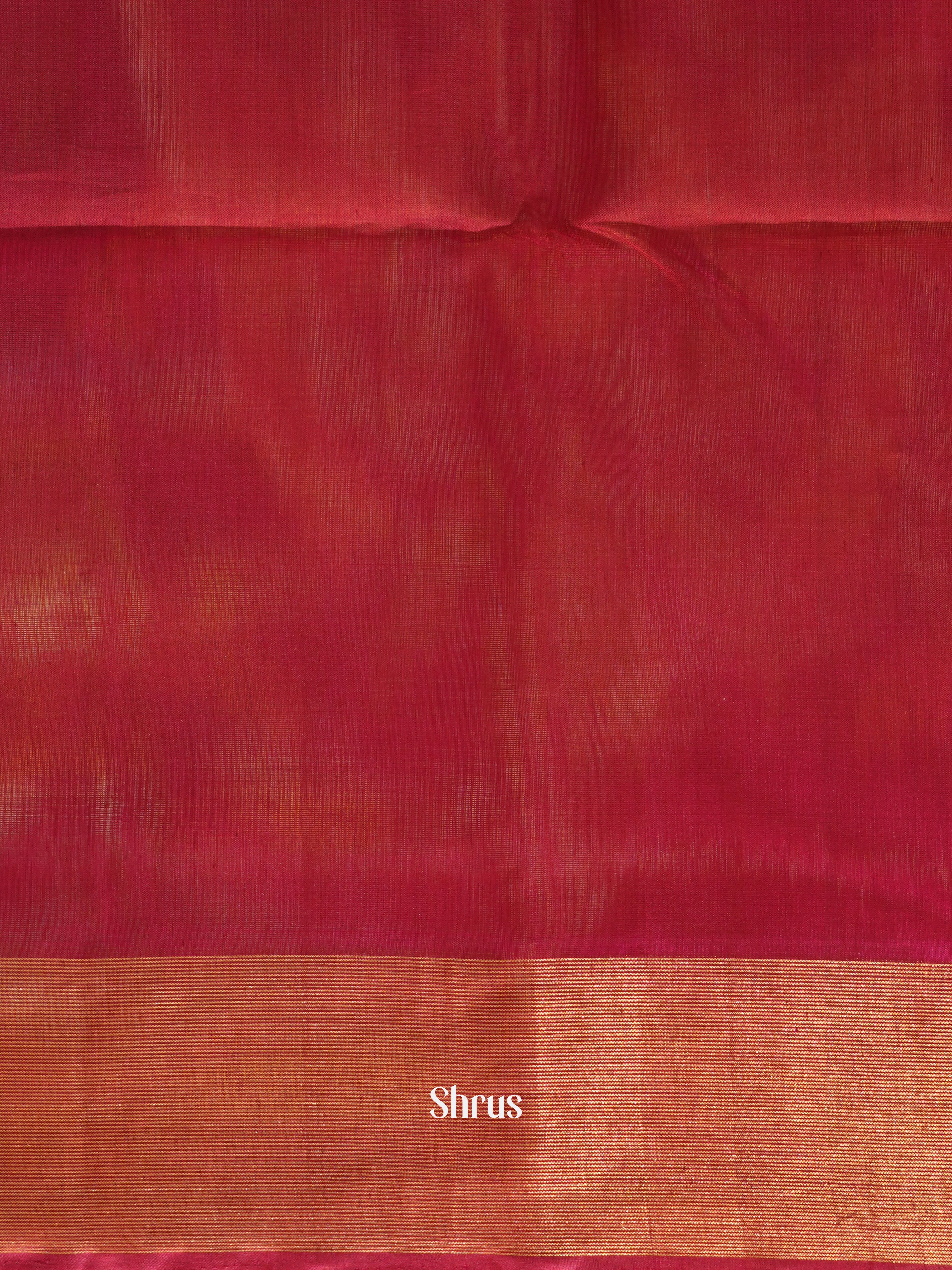 Cream & Maroon - Pochampally sico saree - Shop on ShrusEternity.com