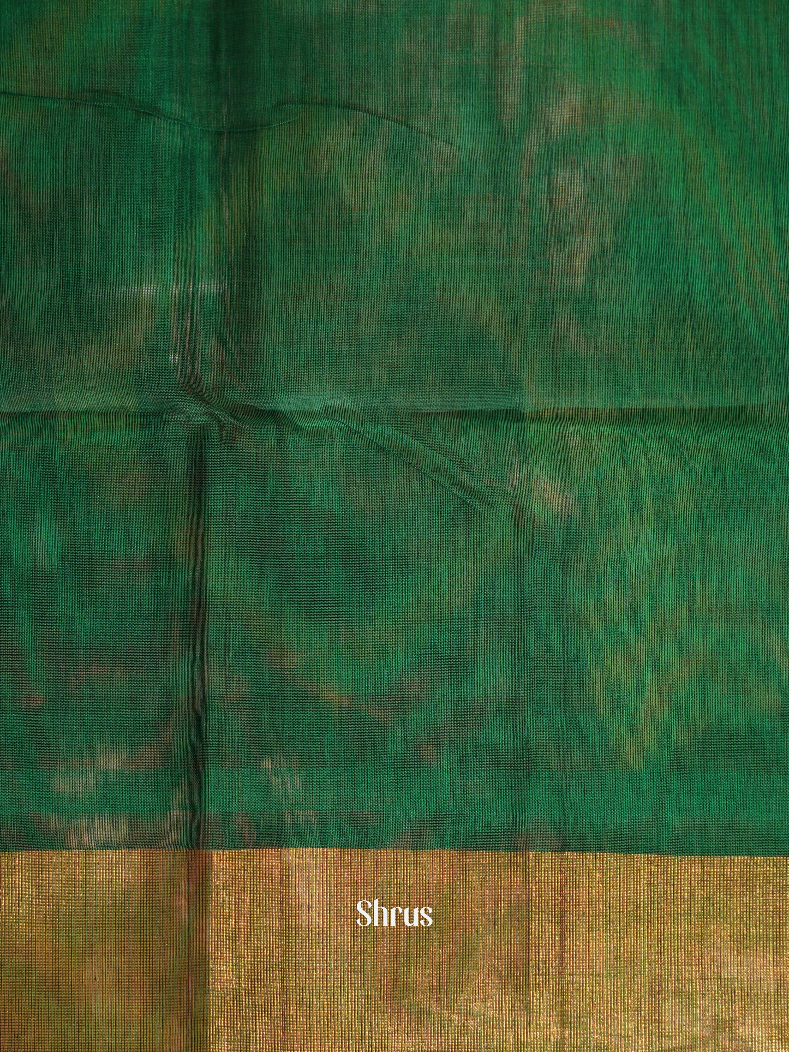 Violet & Green - Pochampally sico saree - Shop on ShrusEternity.com