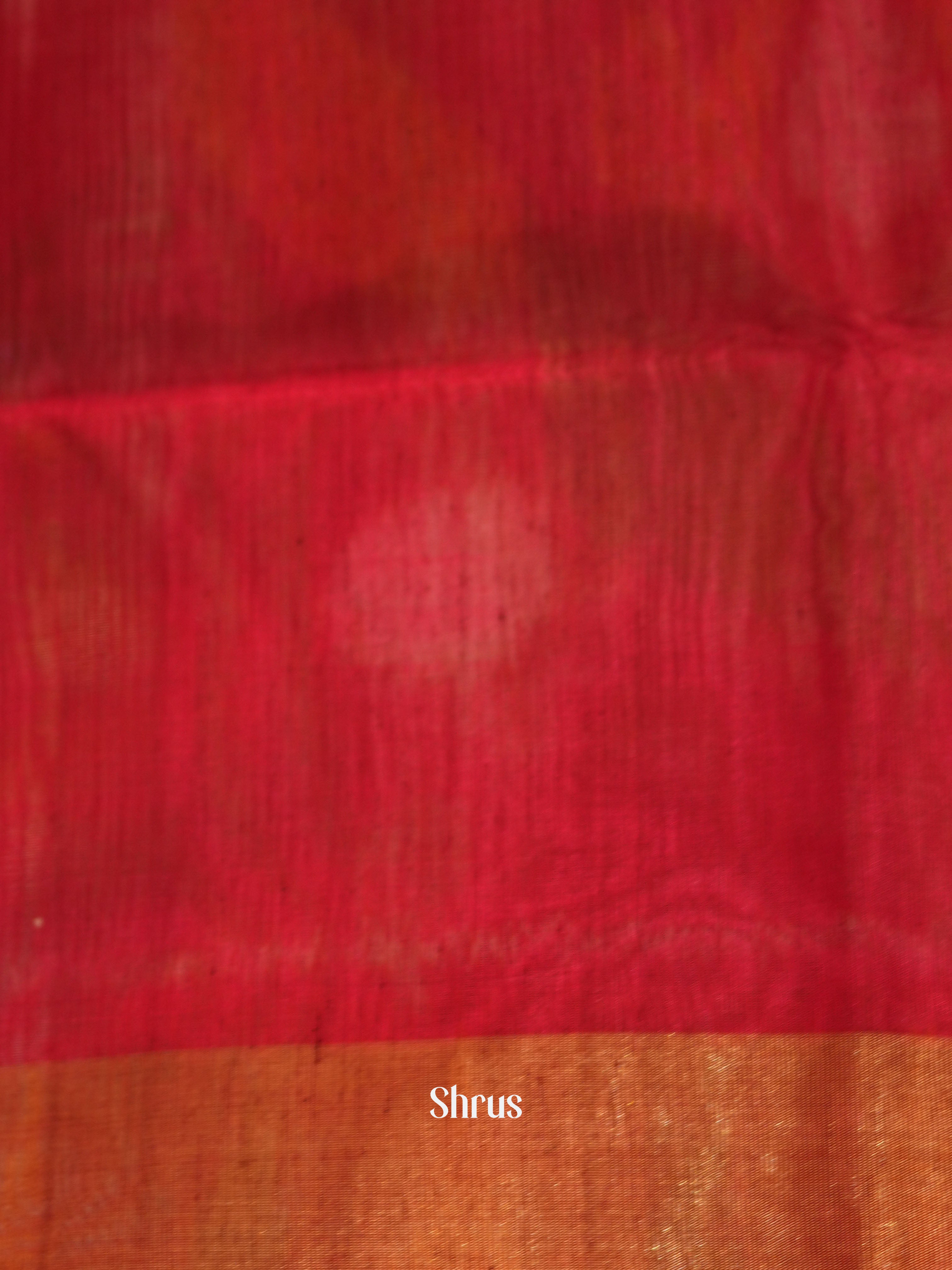 Green & Red - Pochampally sico saree - Shop on ShrusEternity.com