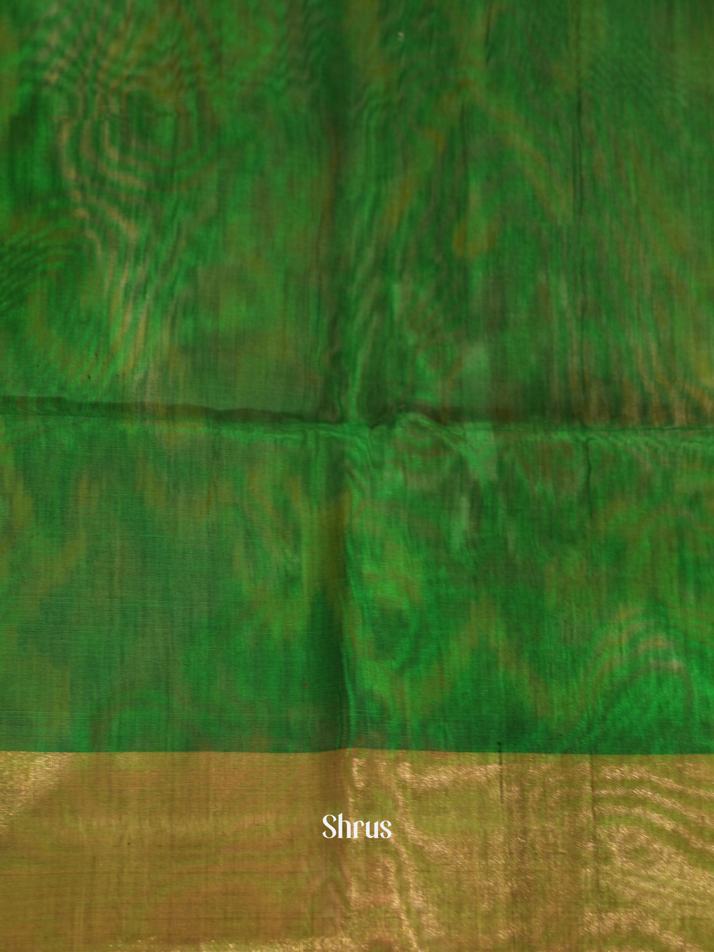 Orange & Green - Pochampally sico saree - Shop on ShrusEternity.com