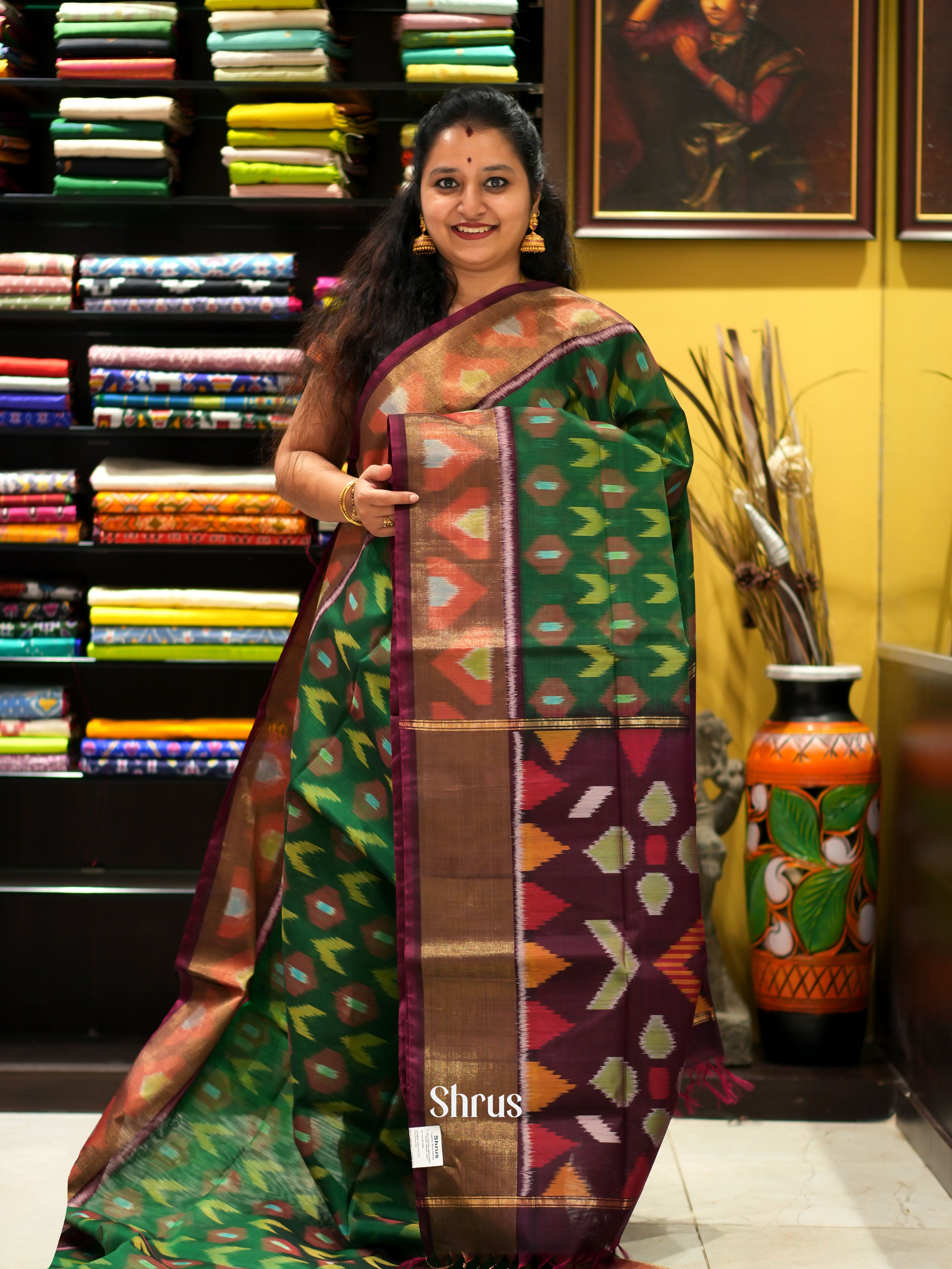 Green & Brown - Pochampally sico saree - Shop on ShrusEternity.com