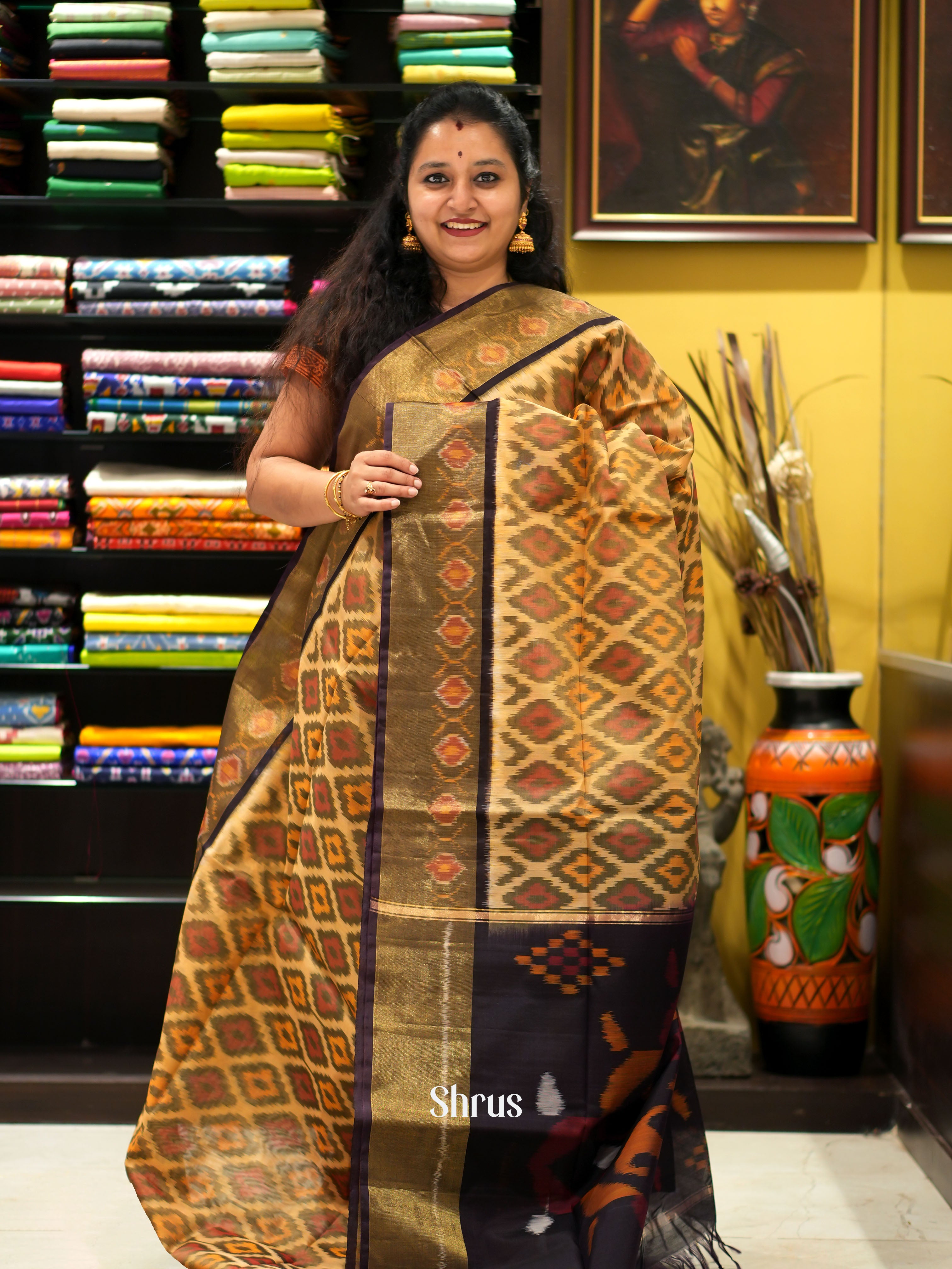 Beige & Brown- Pochampally sico saree - Shop on ShrusEternity.com