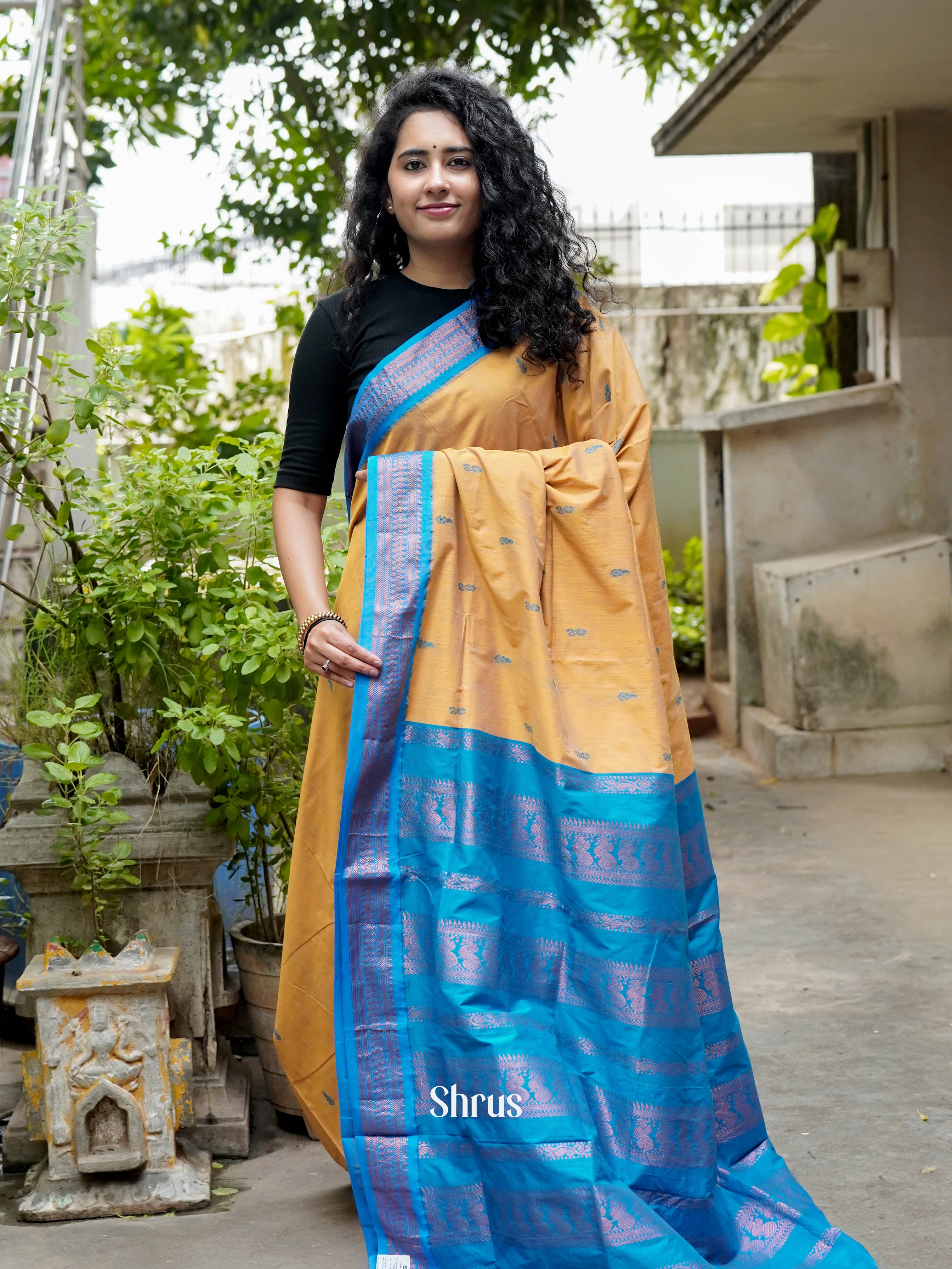 Sandal & Blue - Kalyani Cotton Saree - Shop on ShrusEternity.com
