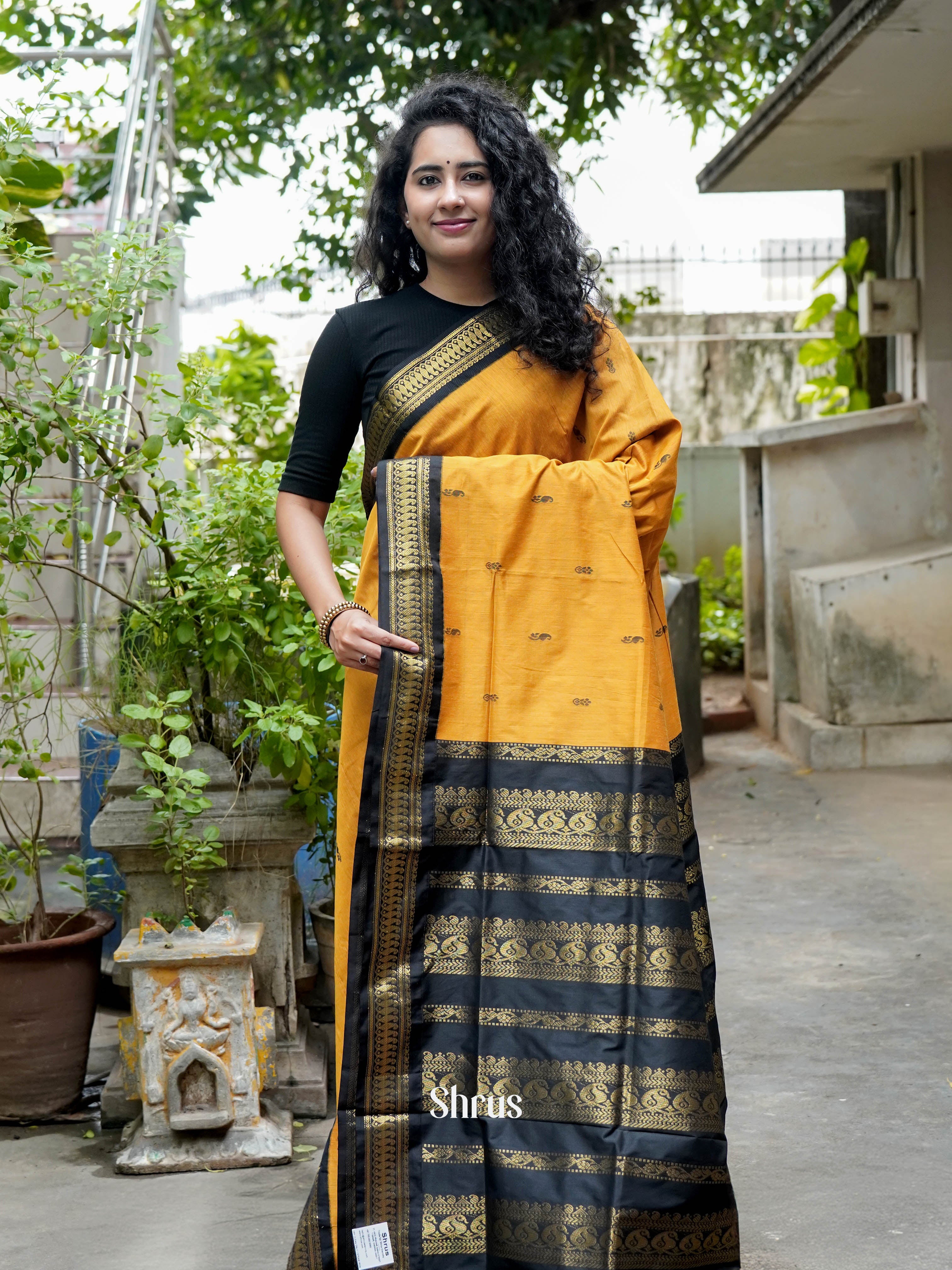 CHS02068 - Kalyani Cotton Saree - Shop on ShrusEternity.com