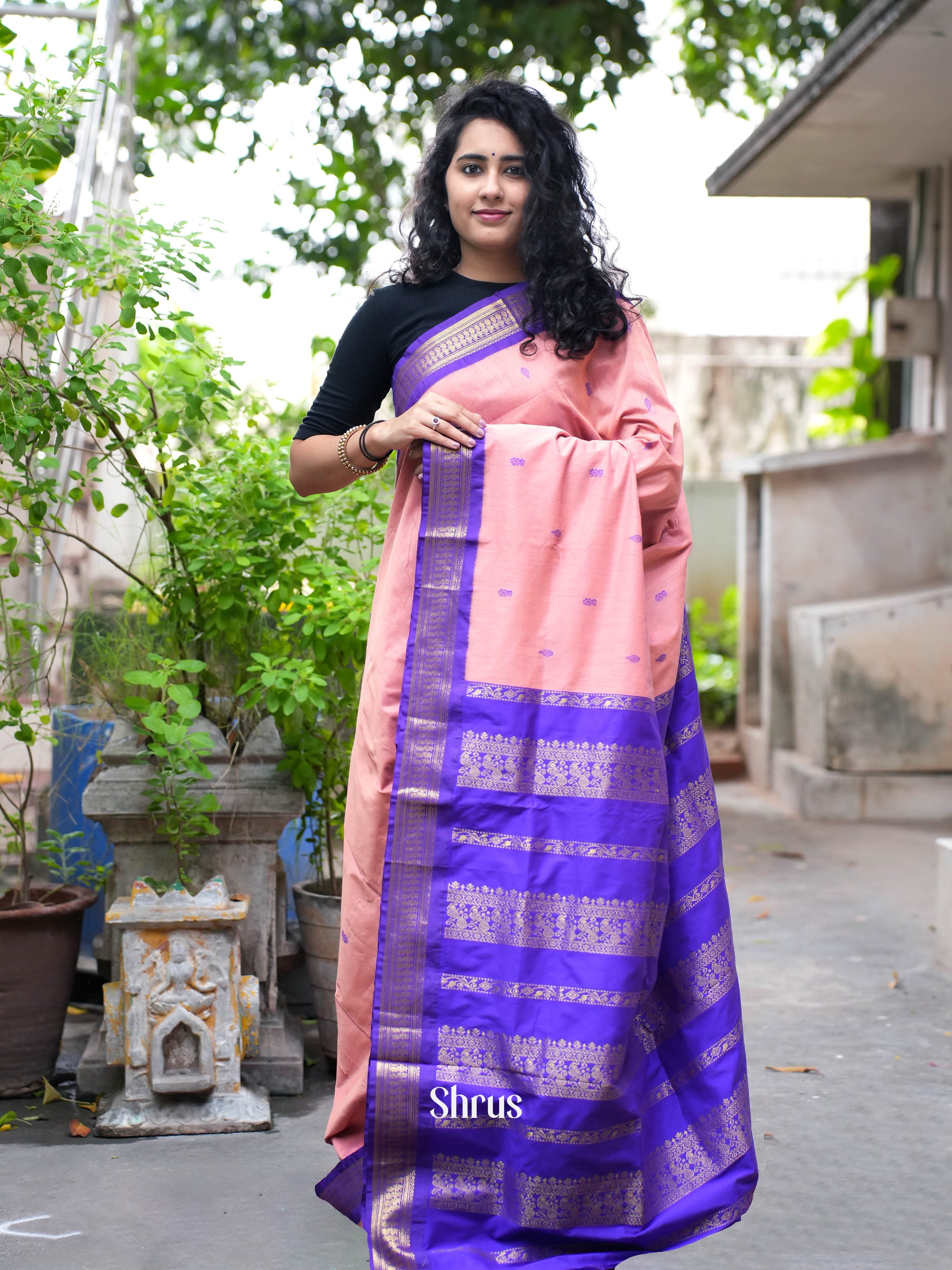 Kalyani Cotton Saree - Gold Zari : Dark Peach x Plum