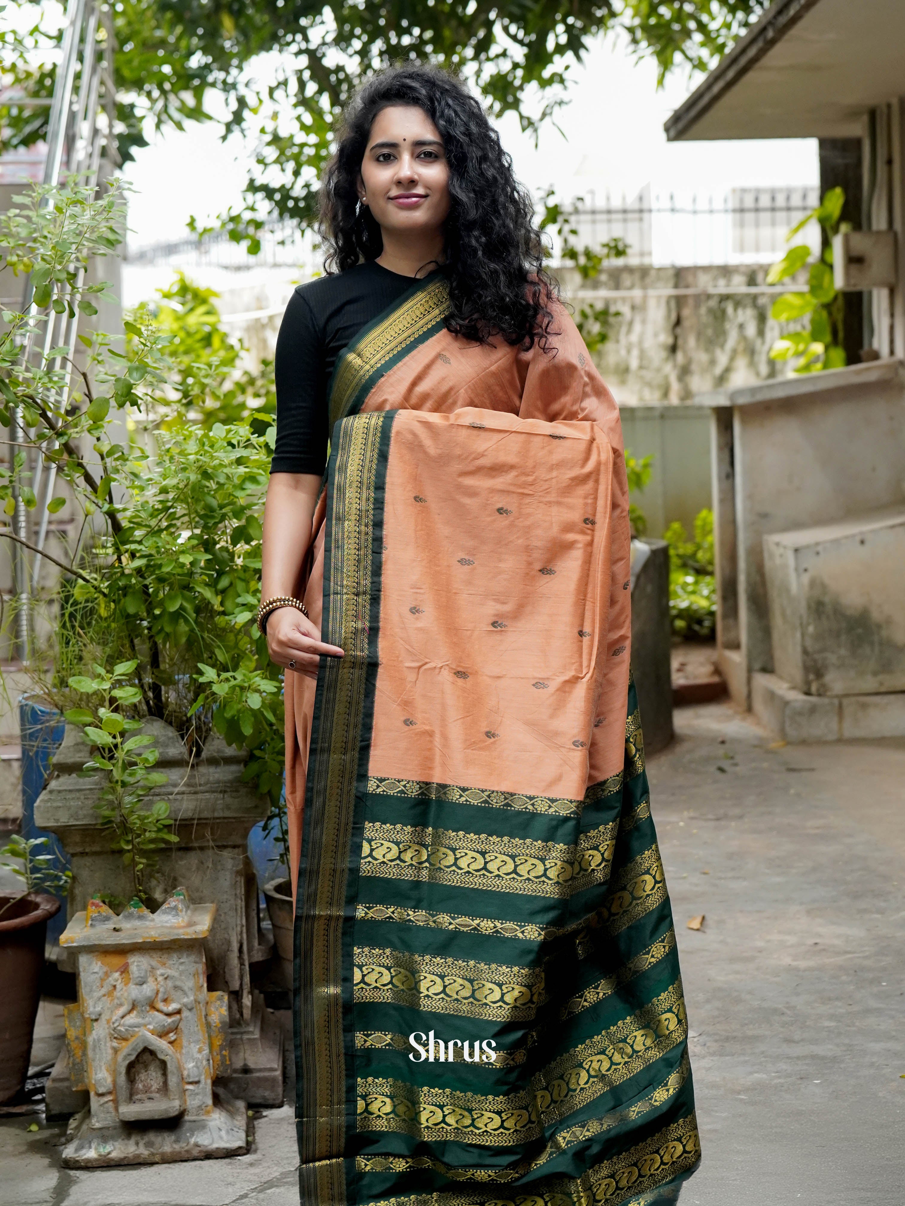 Peach & Green - Kalyani Cotton Saree - Shop on ShrusEternity.com