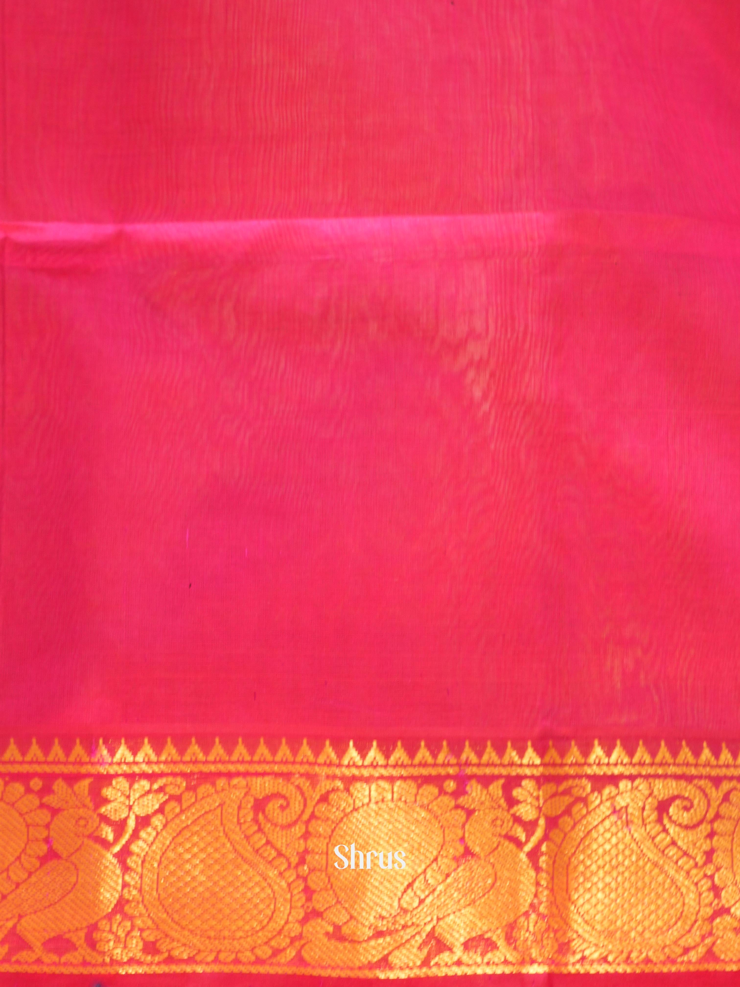 Blue & Pink - Silk Cotton Saree - Shop on ShrusEternity.com