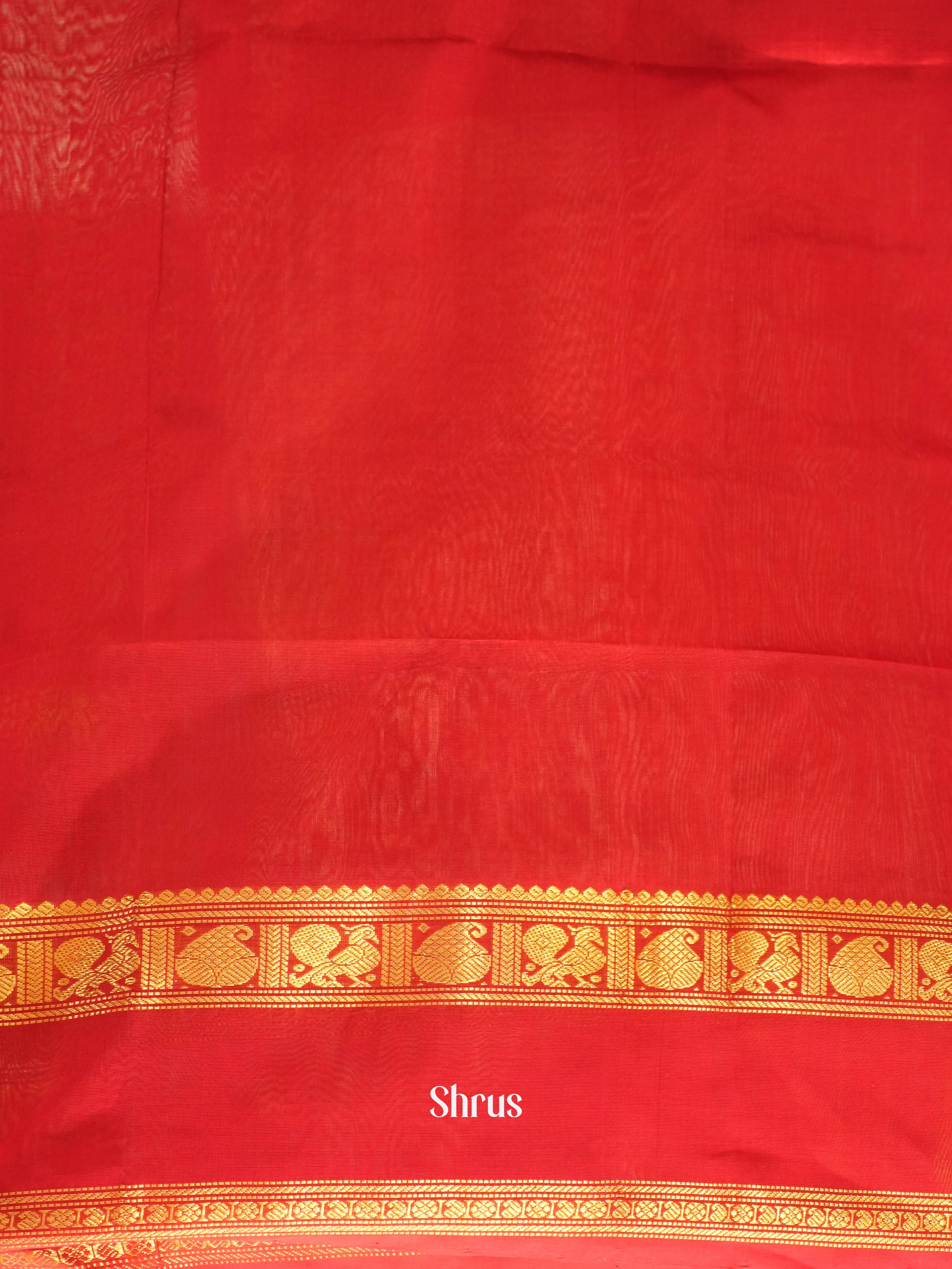 Blue & Red - Silk Cotton Saree - Shop on ShrusEternity.com