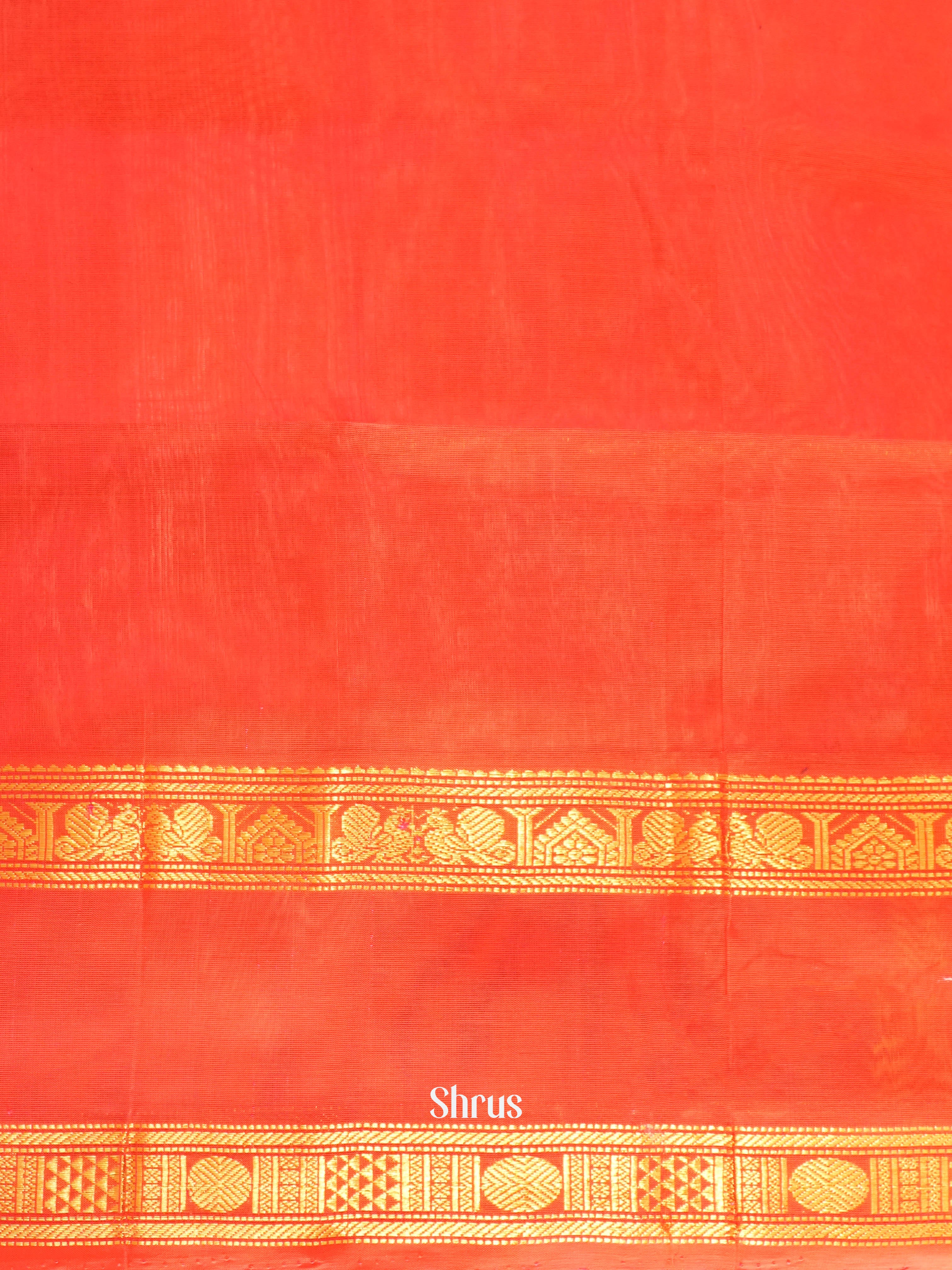 Blue & Orangish Pink - Silk Cotton Saree - Shop on ShrusEternity.com