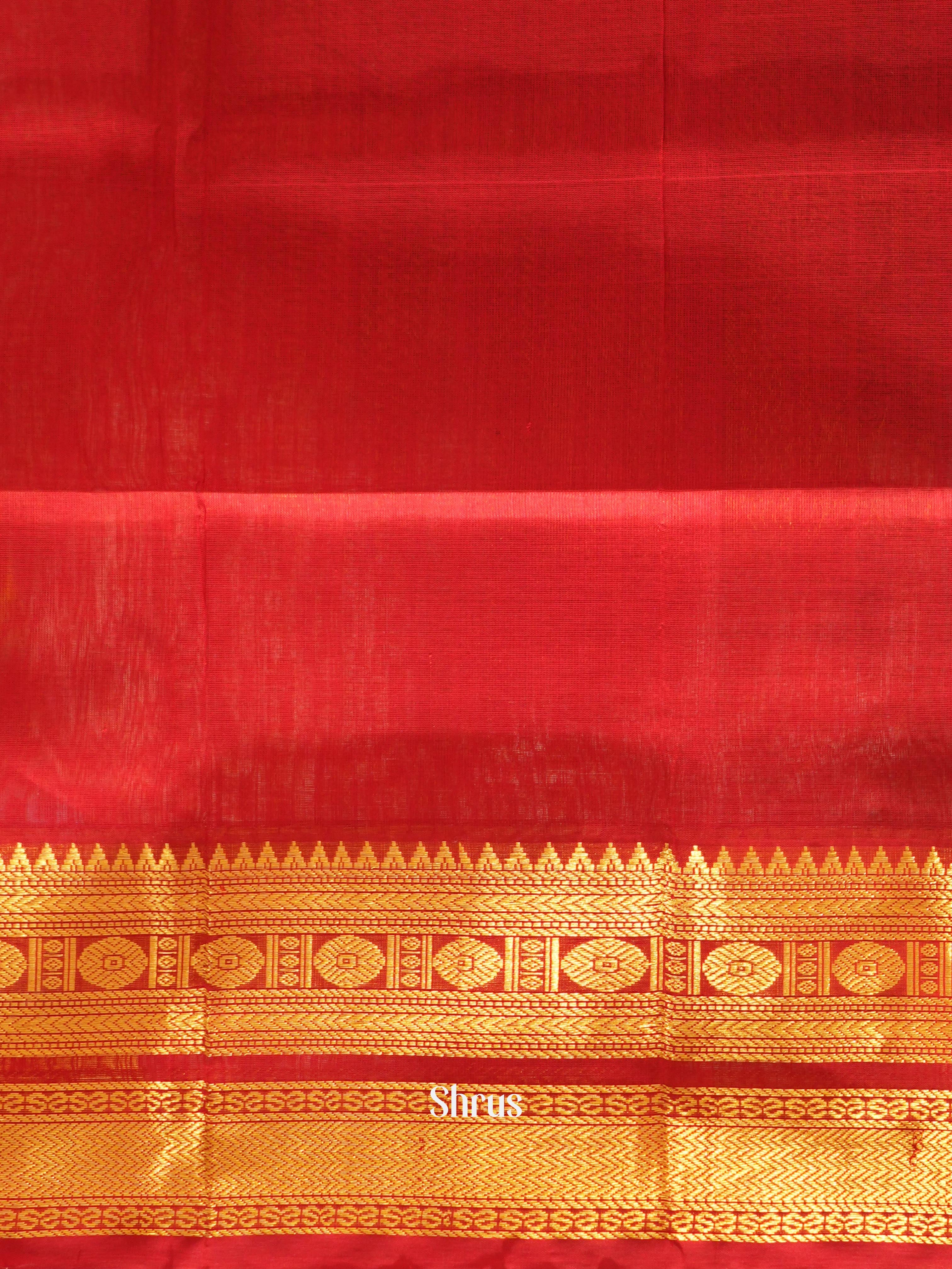 CHS03100 - Silk Cotton Saree - Shop on ShrusEternity.com