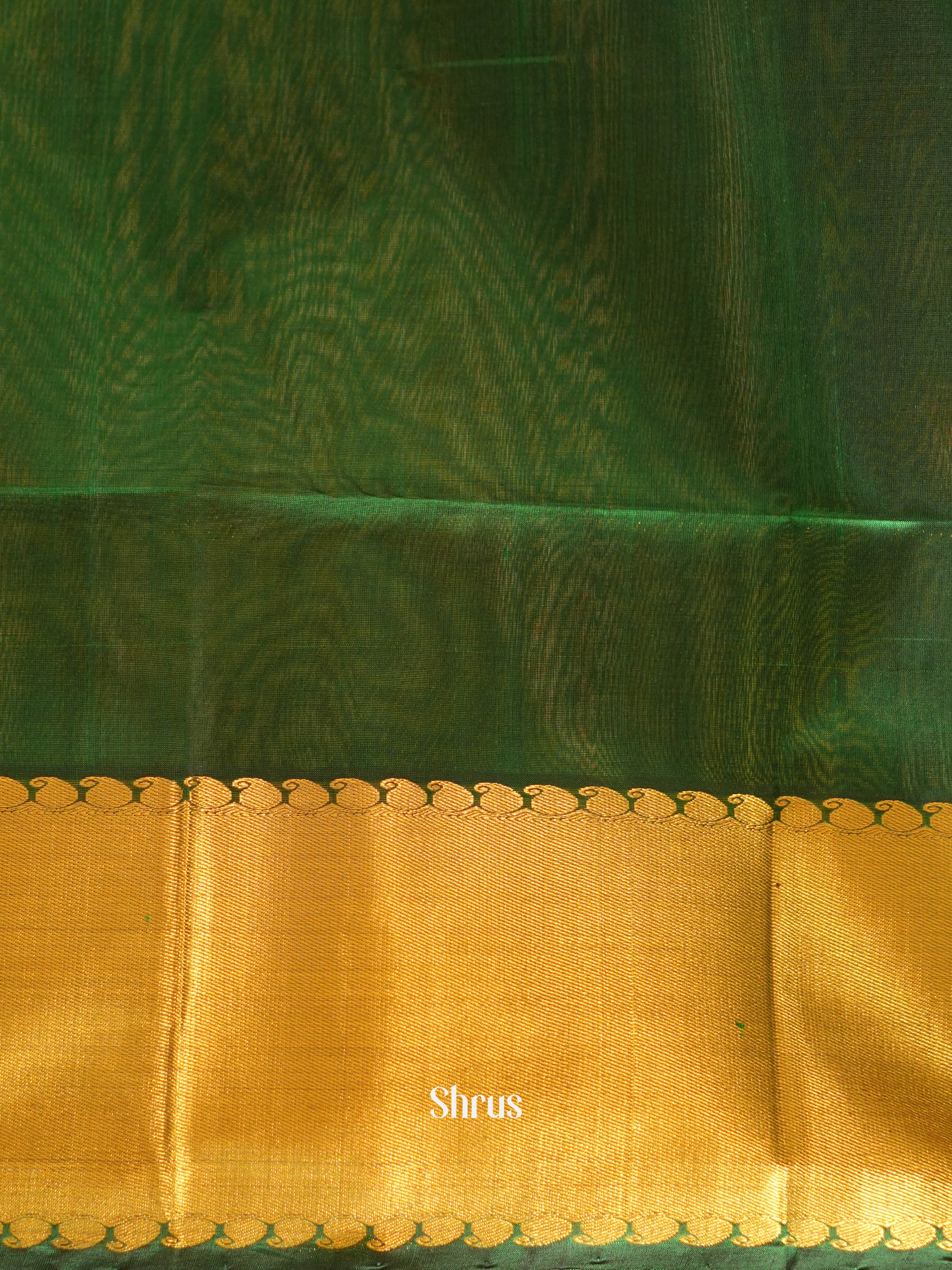 Green(Single Tone) - Silk Cotton Saree - Shop on ShrusEternity.com