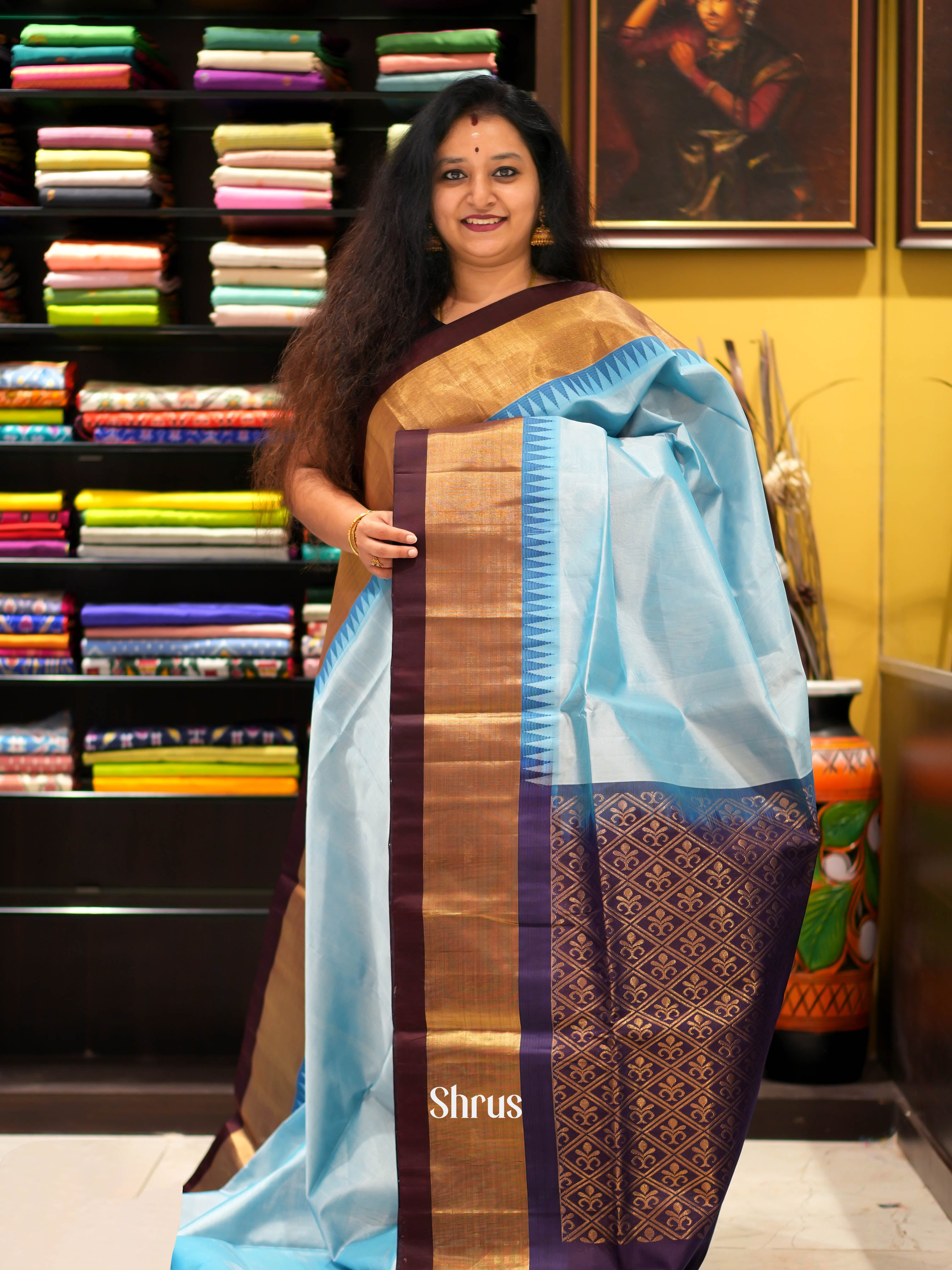 Lite Blue & Brown - Silk Cotton Saree - Shop on ShrusEternity.com