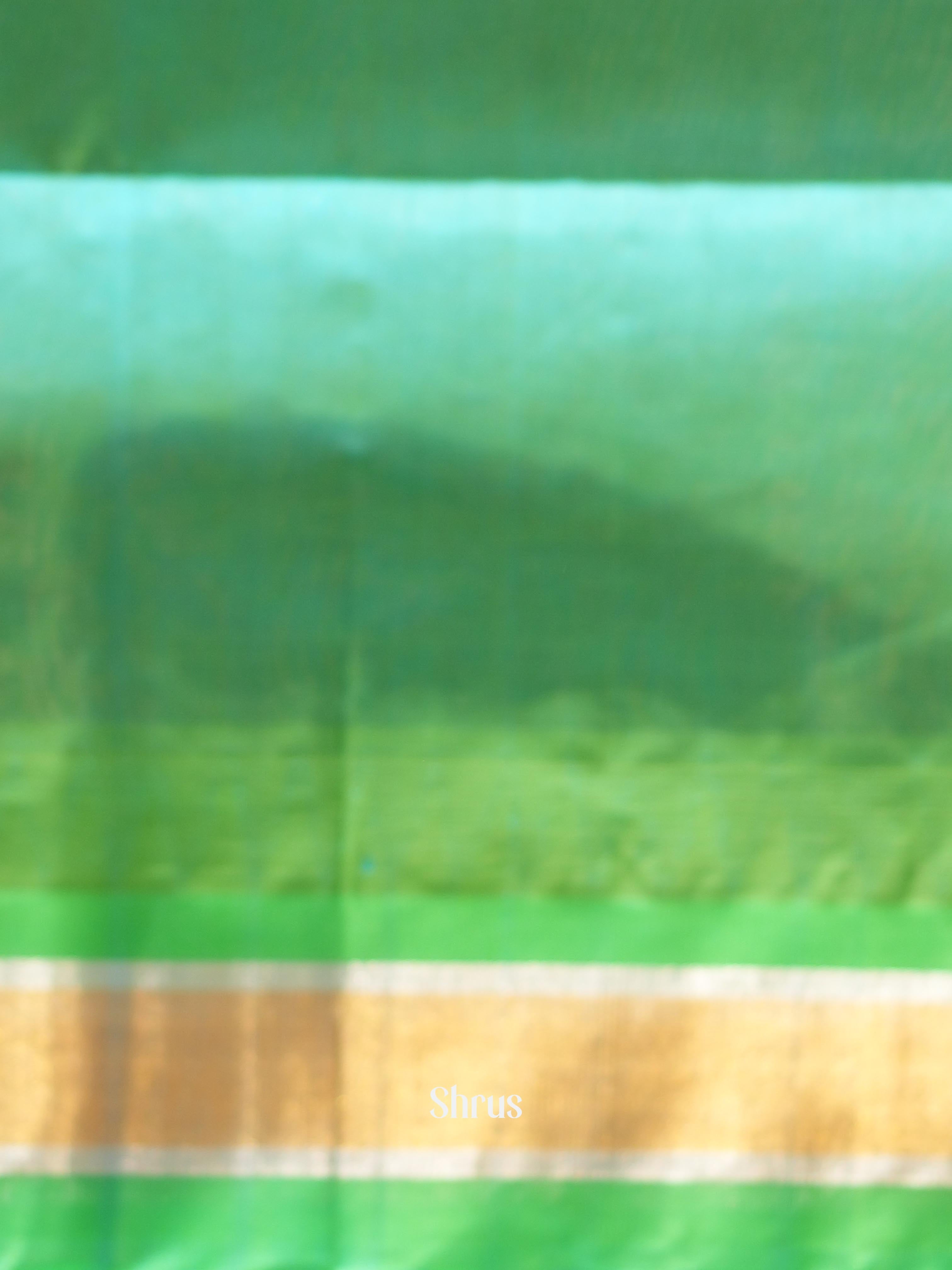 Cream & Green - Silk Cotton Saree - Shop on ShrusEternity.com