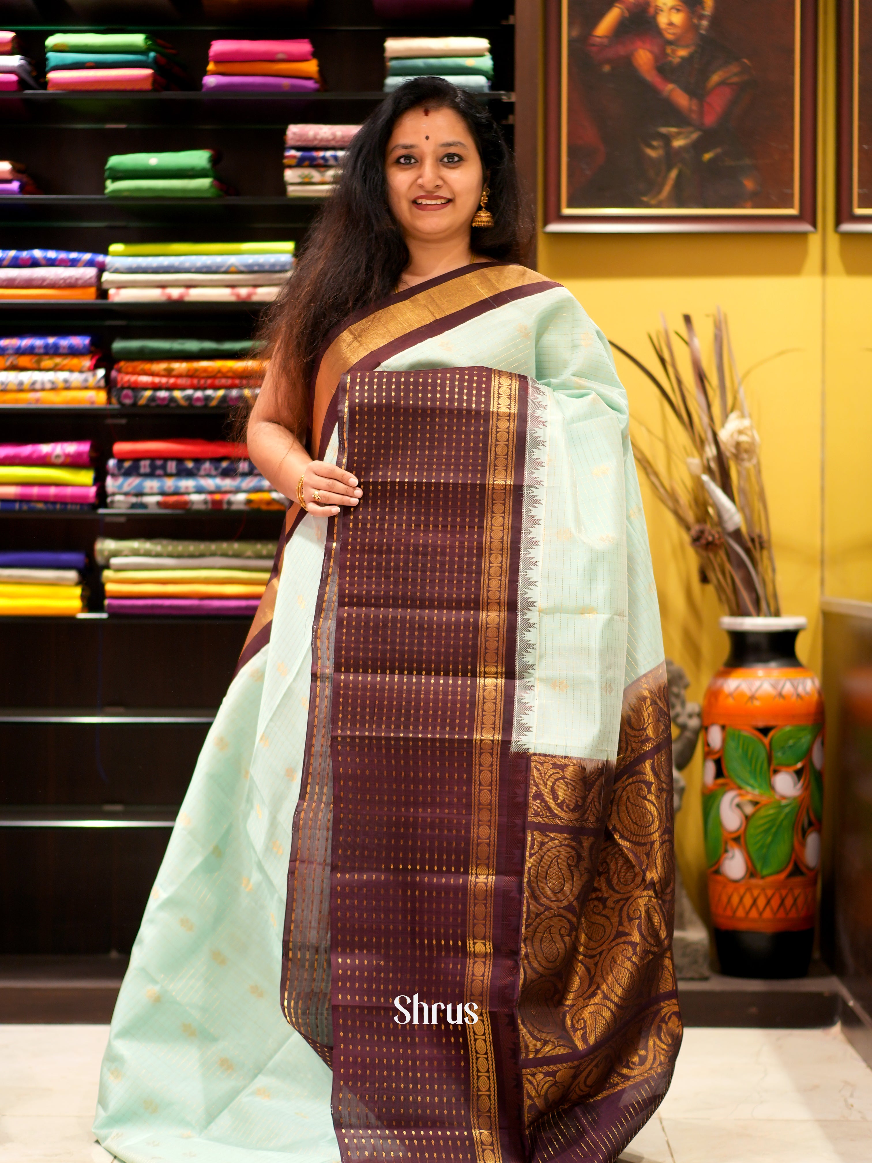 Ice Green & Brown - Silk Cotton Saree - Shop on ShrusEternity.com