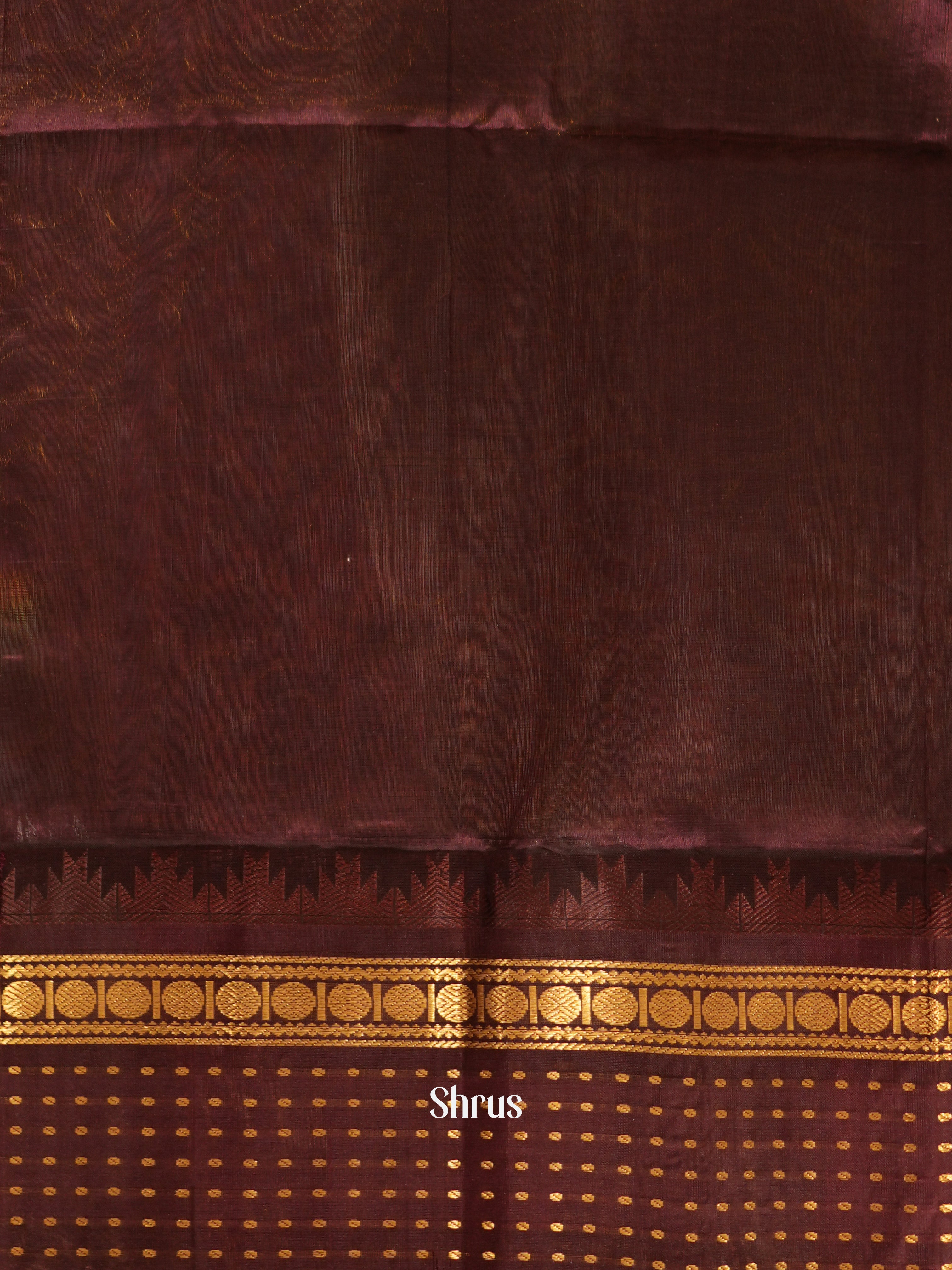 Ice Green & Brown - Silk Cotton Saree - Shop on ShrusEternity.com