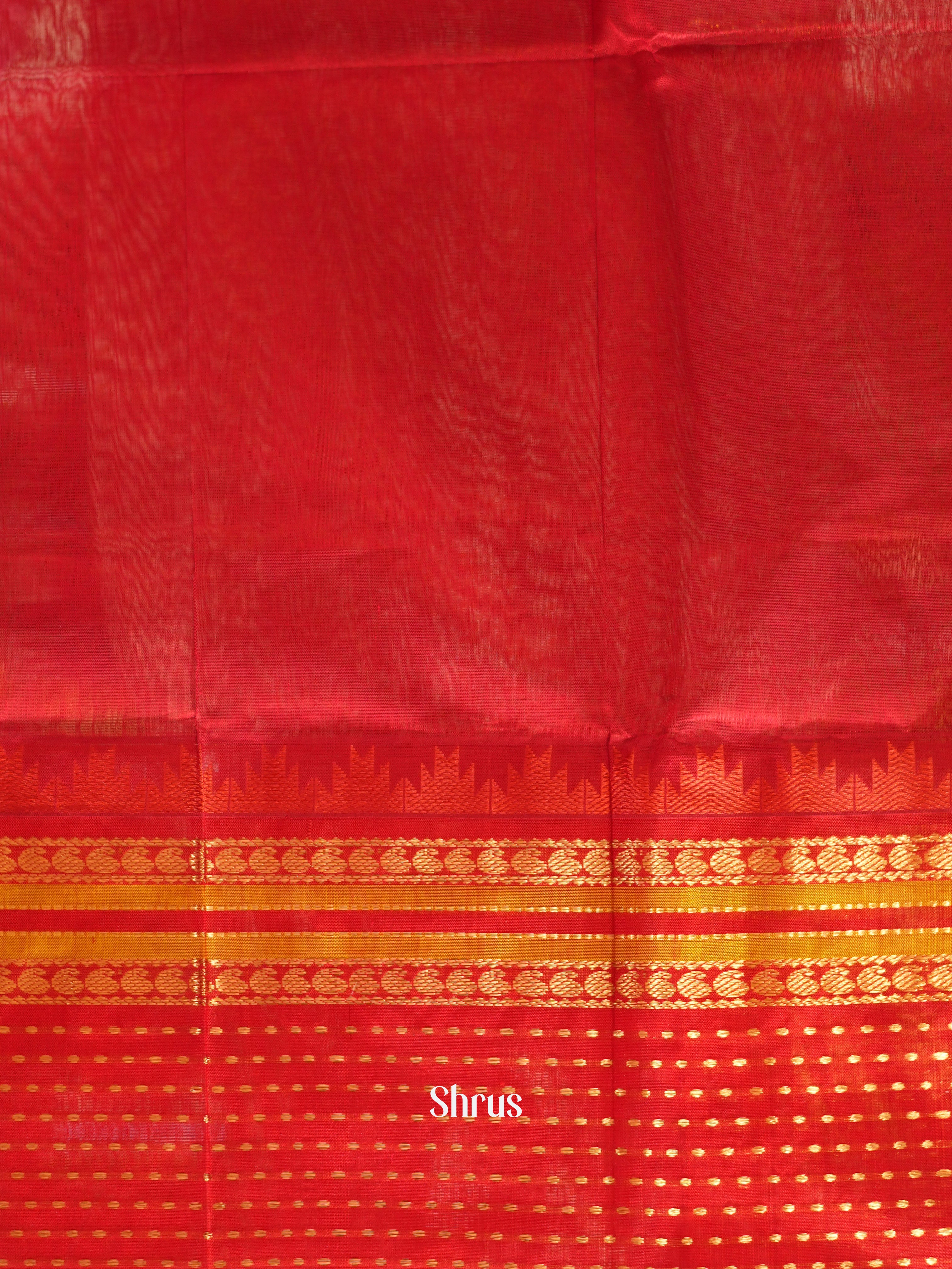 Baby Pink & Red - Silk Cotton Saree - Shop on ShrusEternity.com