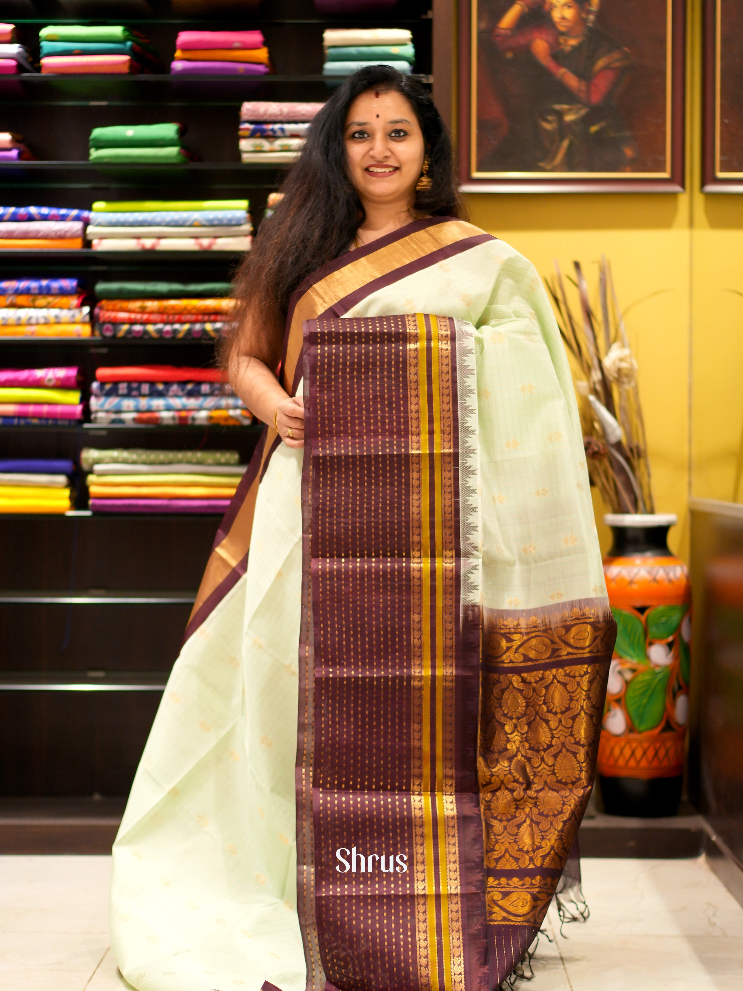 Lite Green & Brown- Silk Cotton Saree - Shop on ShrusEternity.com