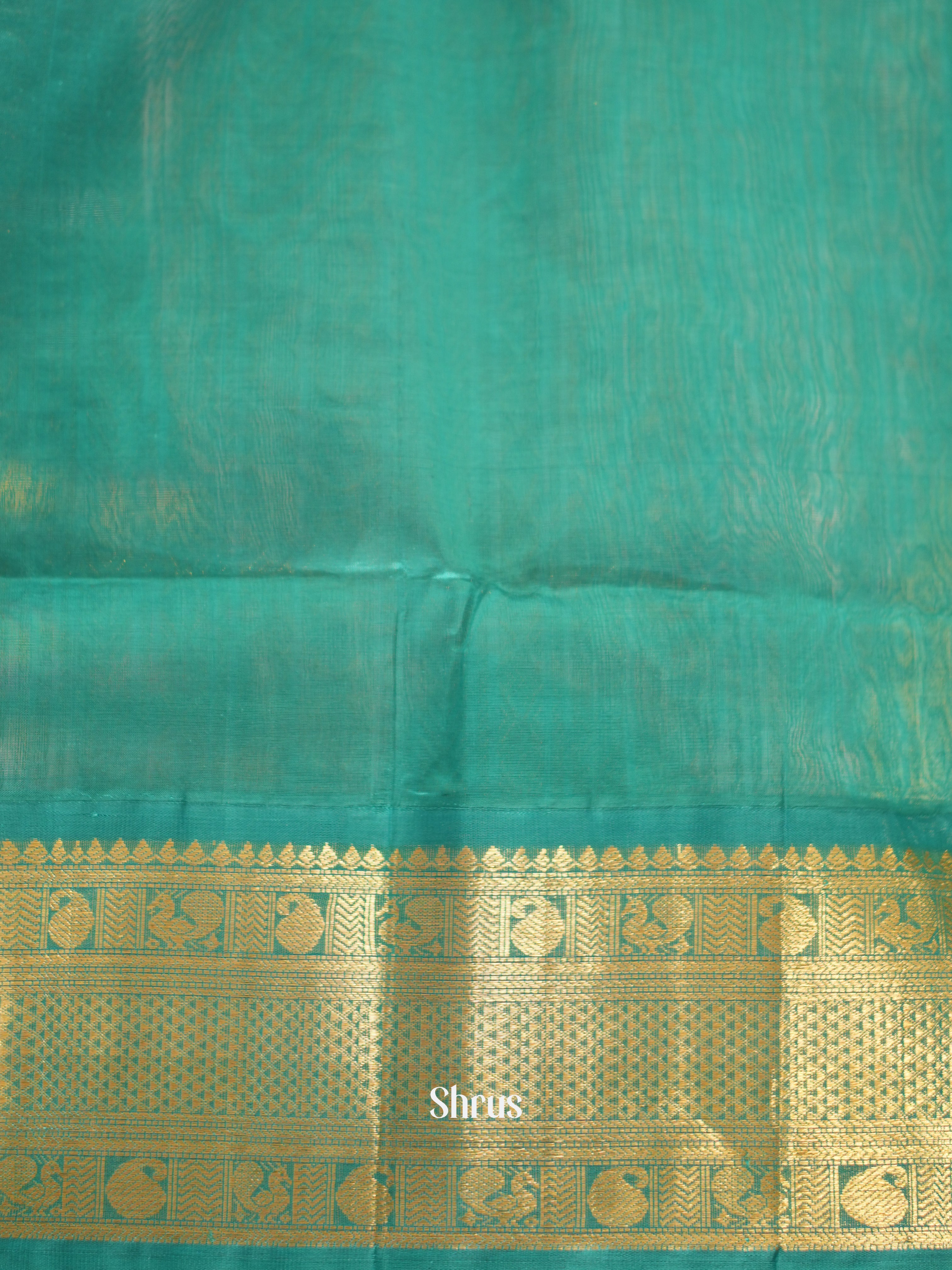 Wine & Teal- Silk Cotton Saree - Shop on ShrusEternity.com