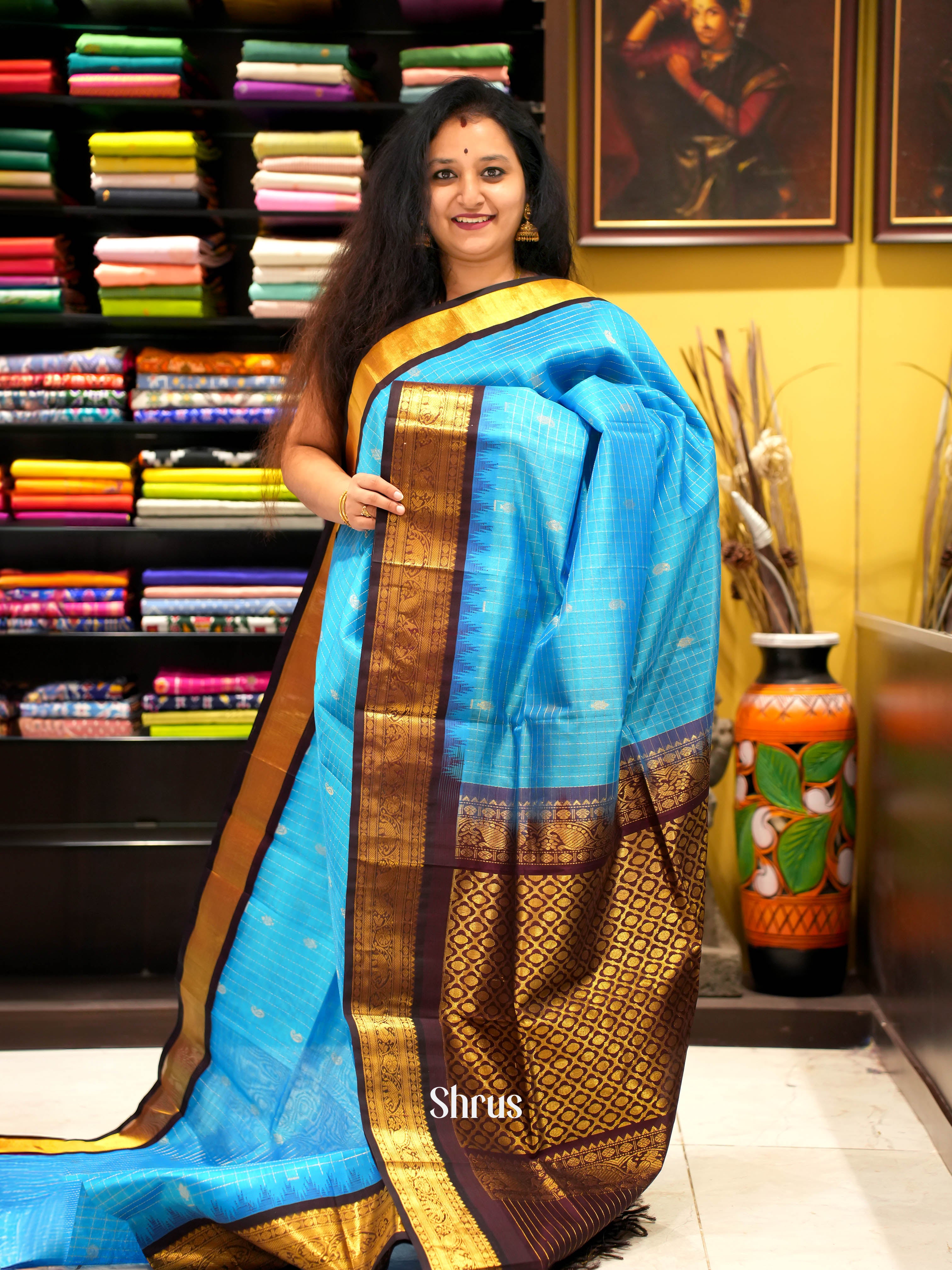 Blue & Brown - Silk Cotton Saree - Shop on ShrusEternity.com