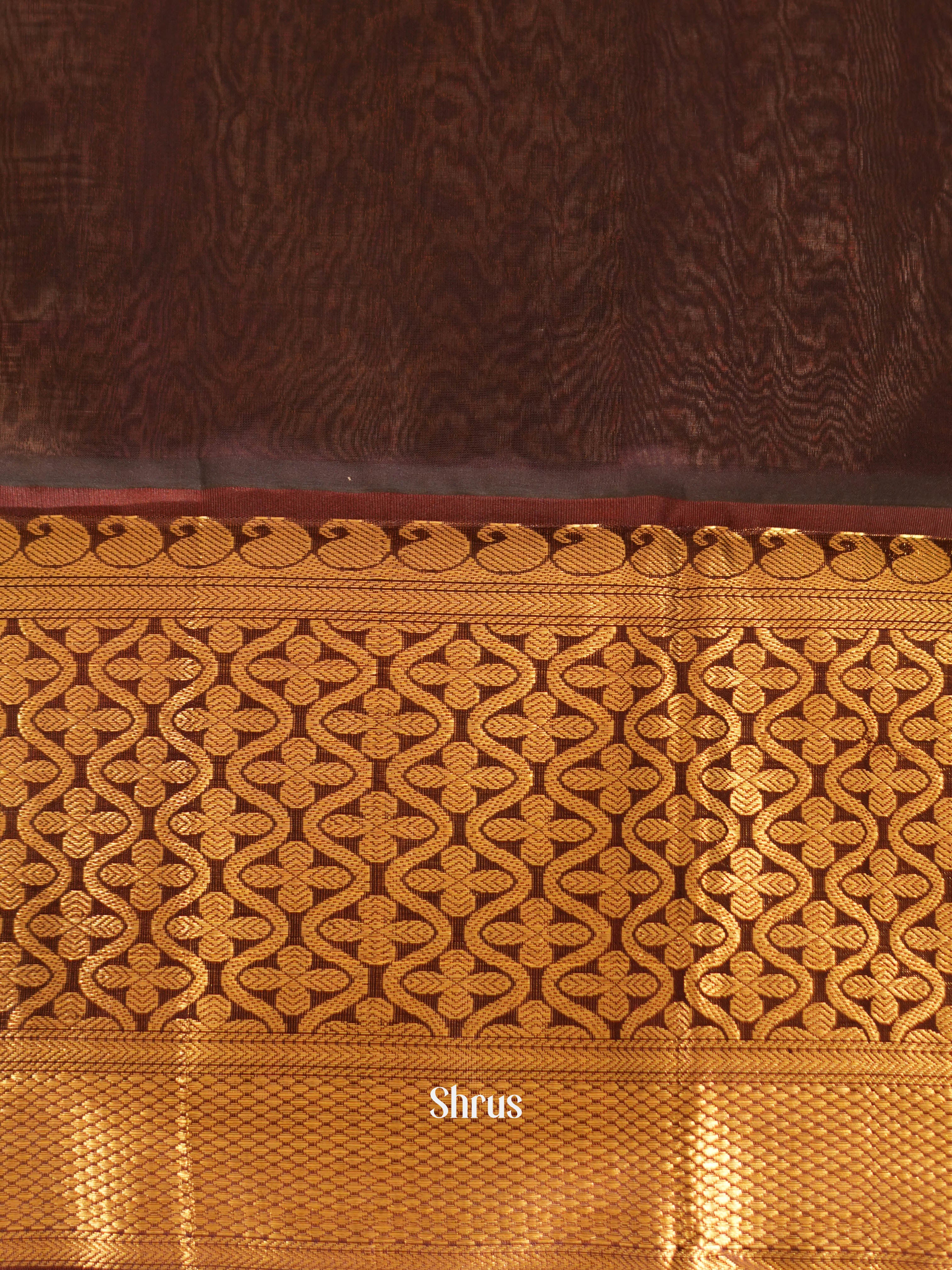 Cream & Brown - Silk Cotton Saree - Shop on ShrusEternity.com