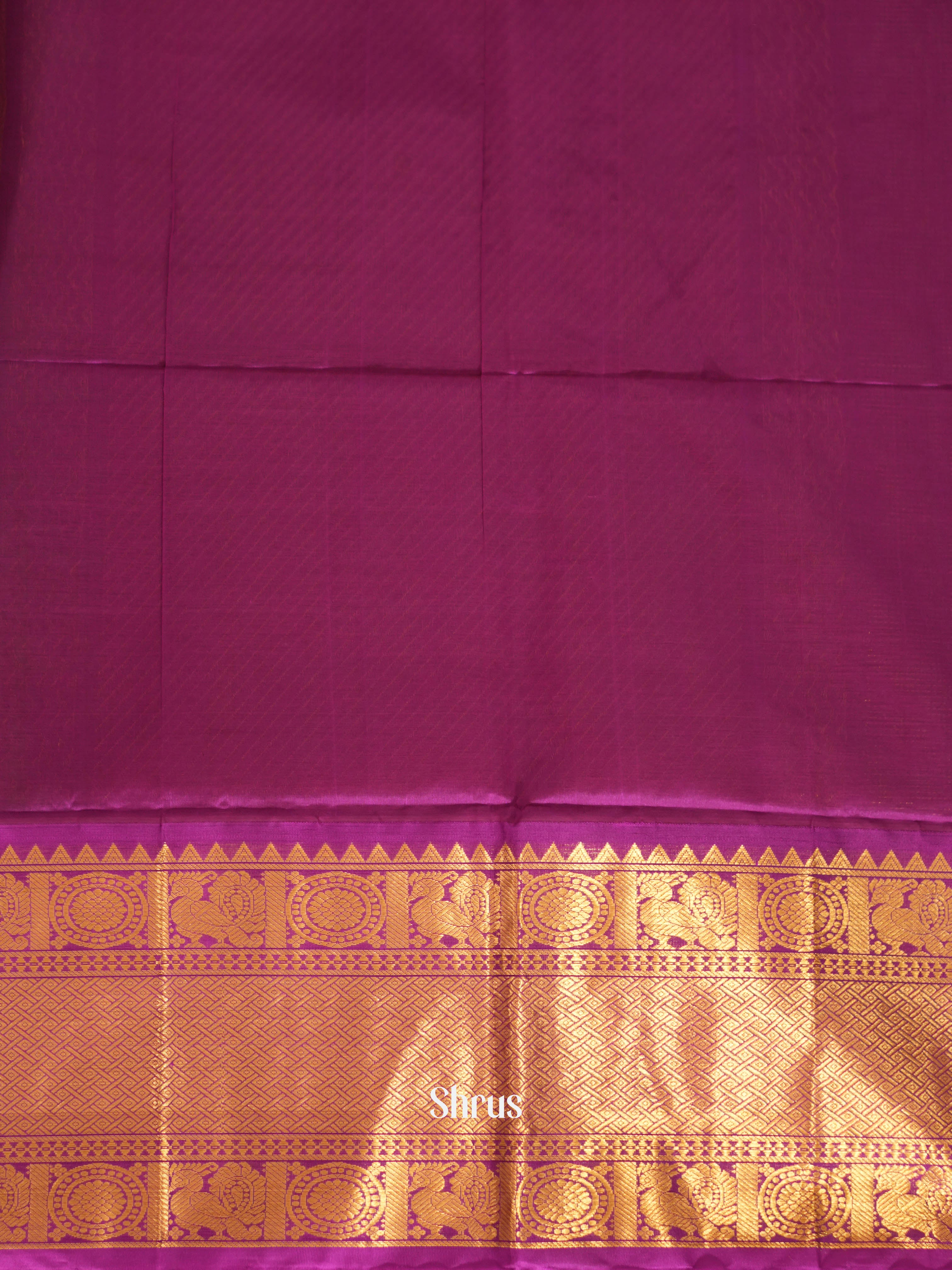 Green & Majenta- Silk Cotton Saree - Shop on ShrusEternity.com