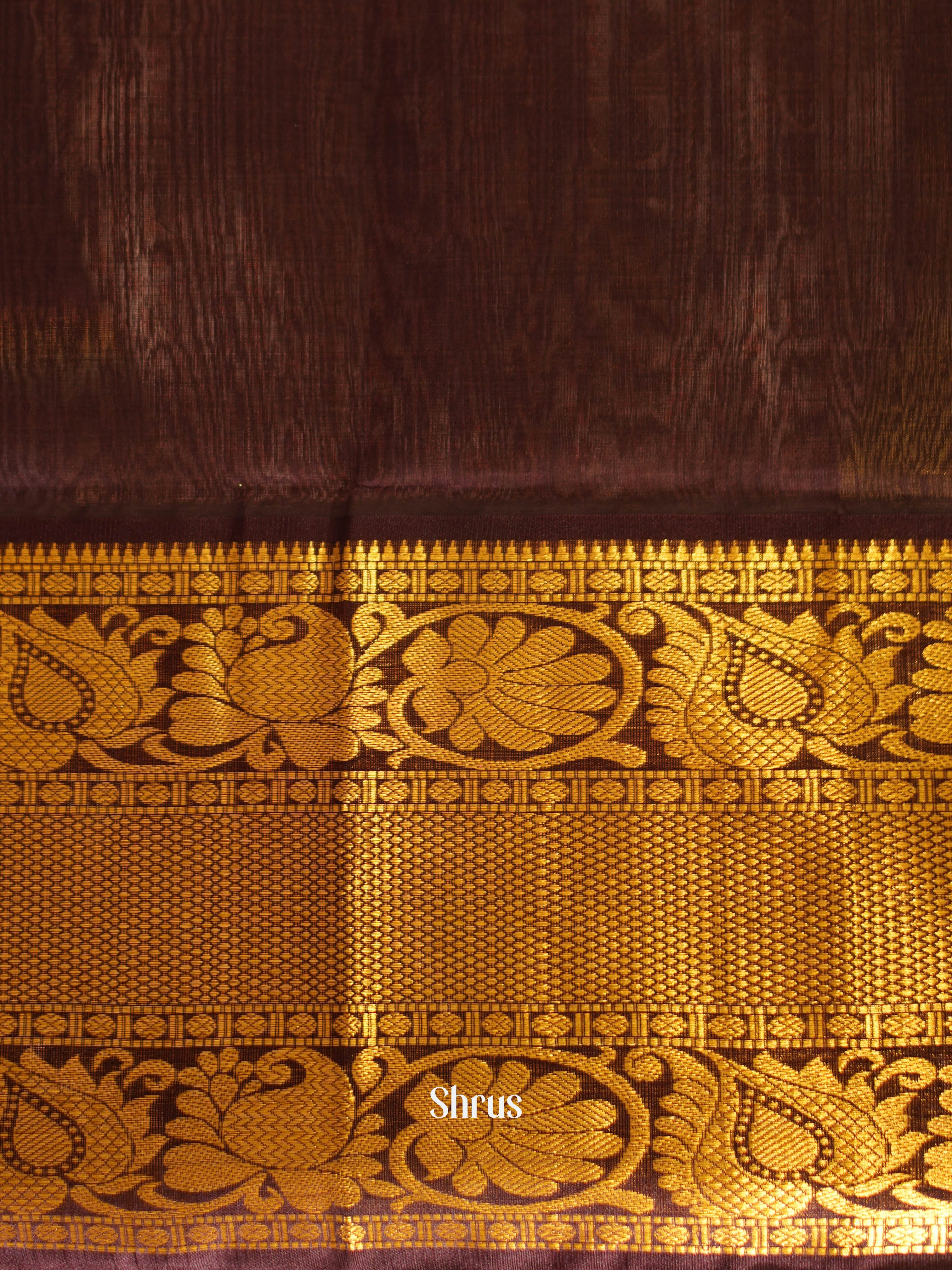 Cream & Brown - Silk Cotton Saree - Shop on ShrusEternity.com