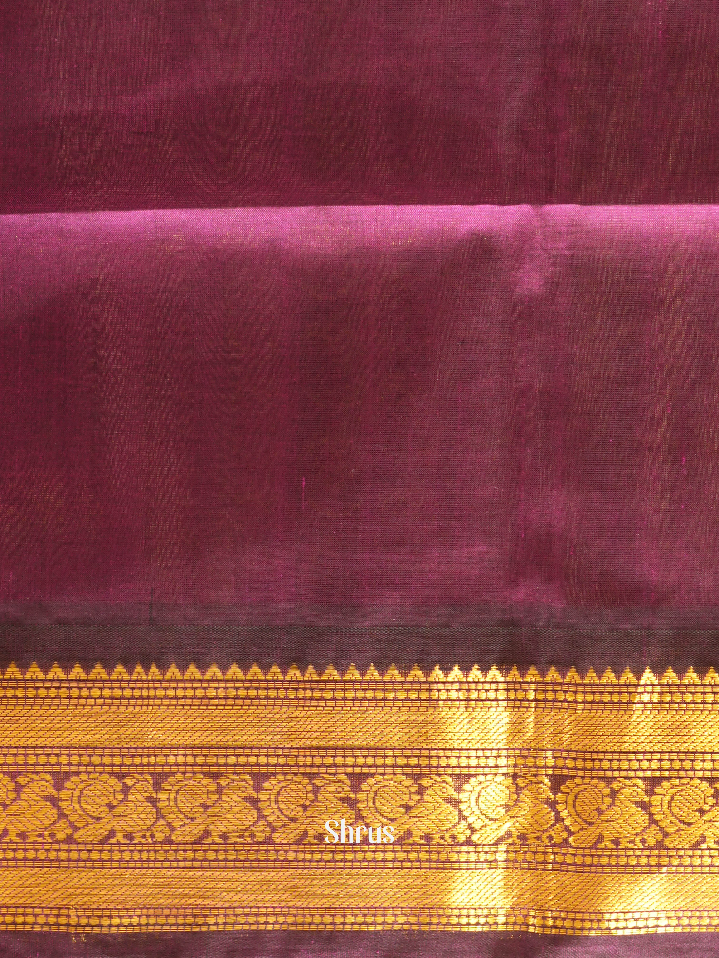 CHS03276 - Silk Cotton Saree - Shop on ShrusEternity.com