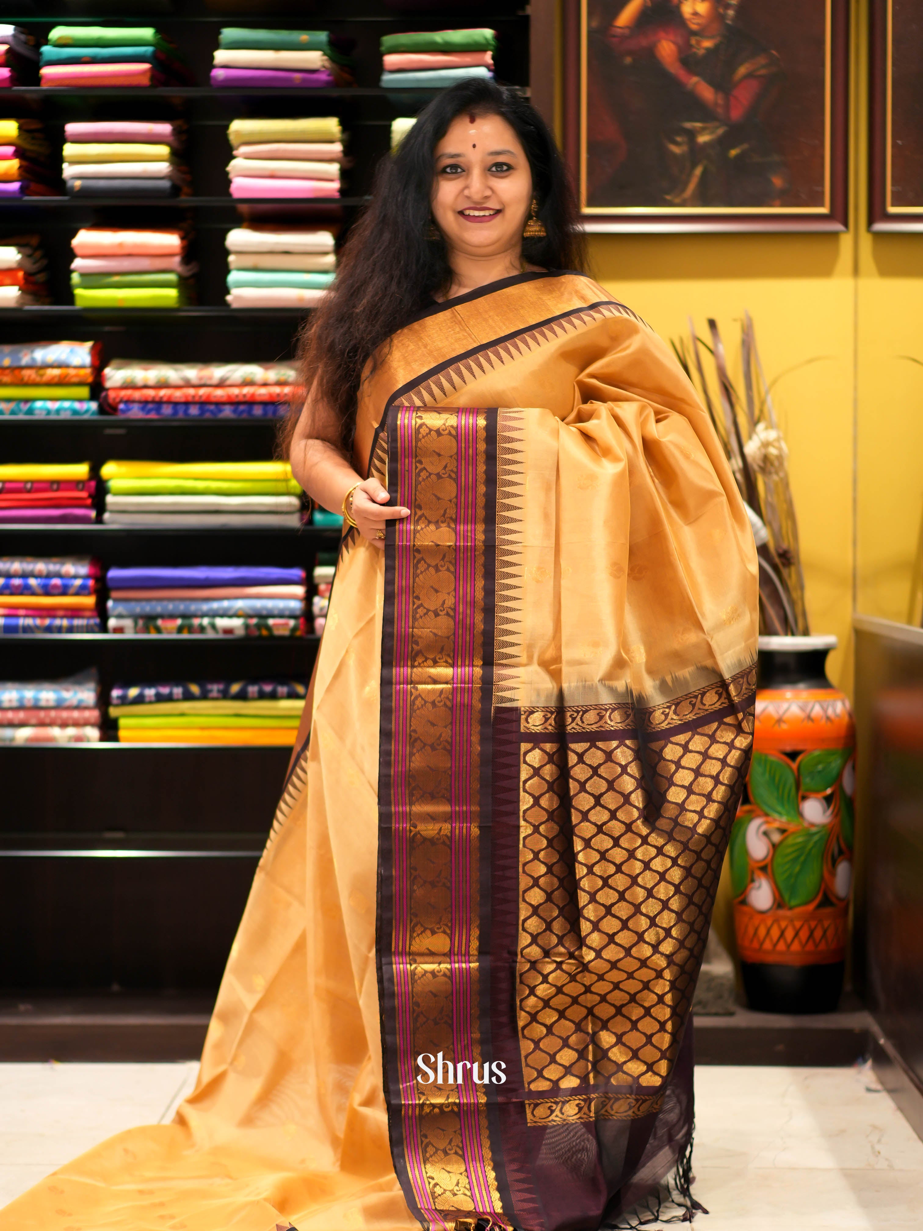 Sandal & Brown - Silk cotton Saree - Shop on ShrusEternity.com
